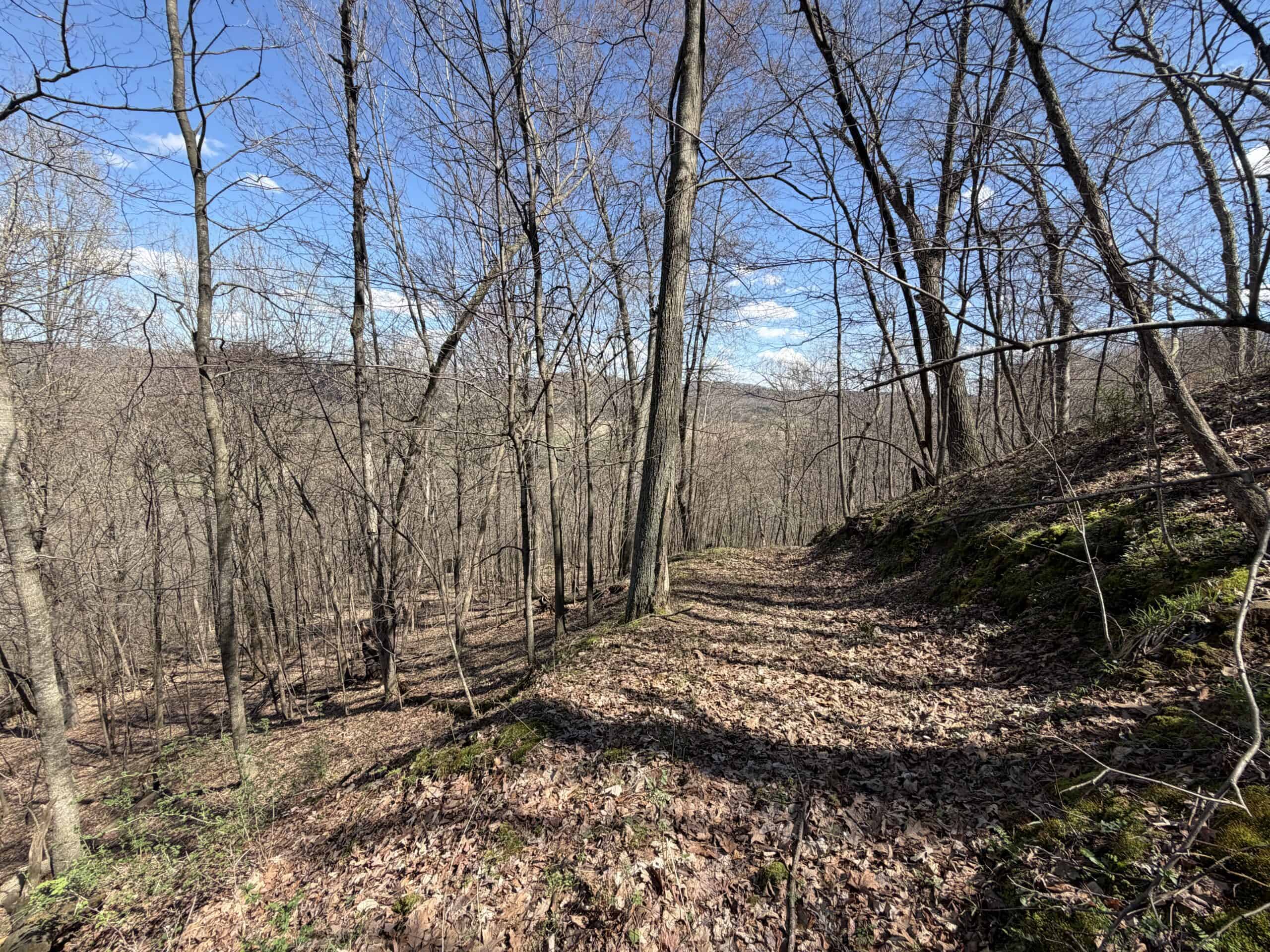SW Wisconsin Country Home, 30.53 Wooded Acres (Driftless Region)