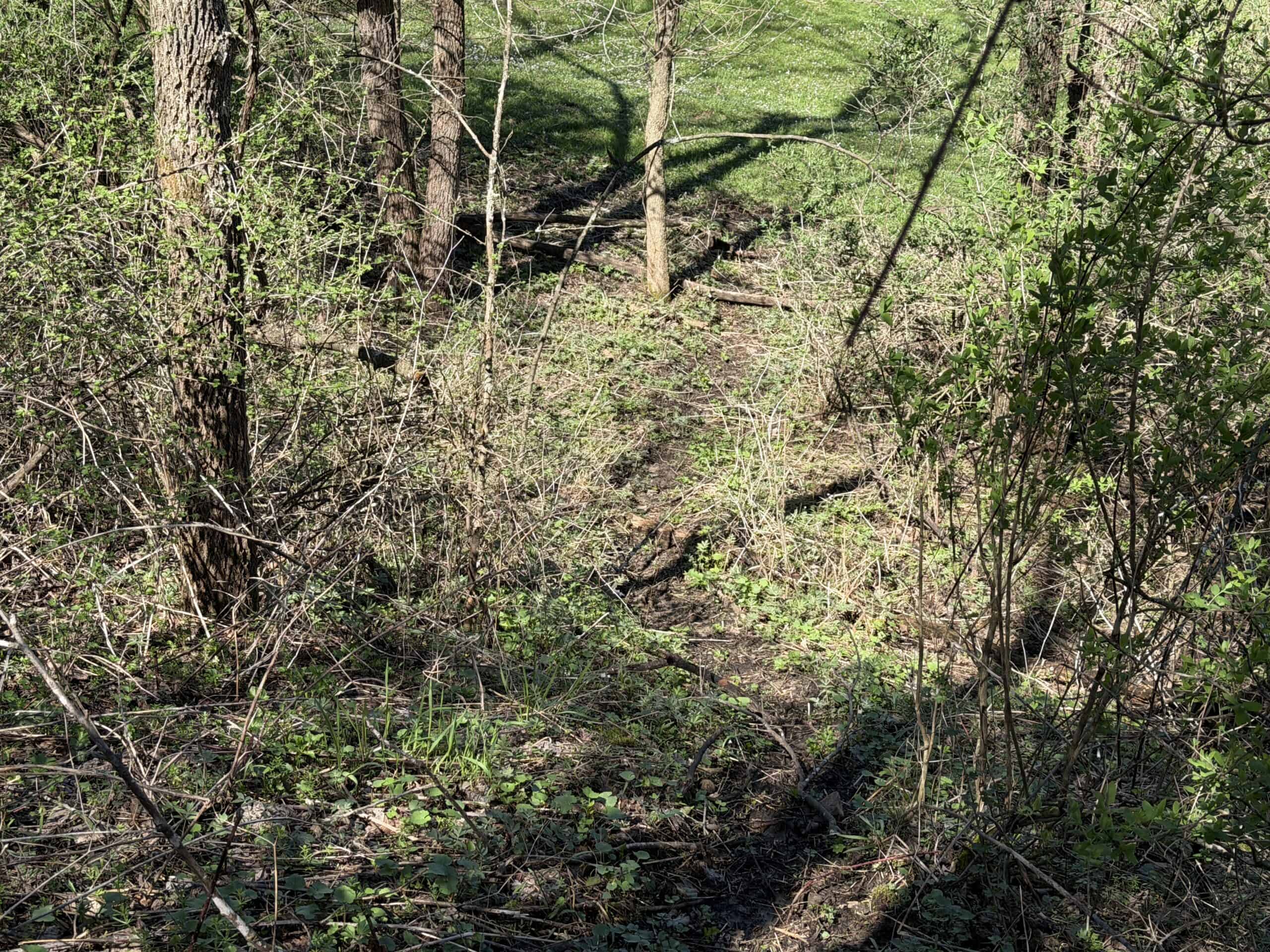 SW Wisconsin Country Home, 30.53 Wooded Acres (Driftless Region)