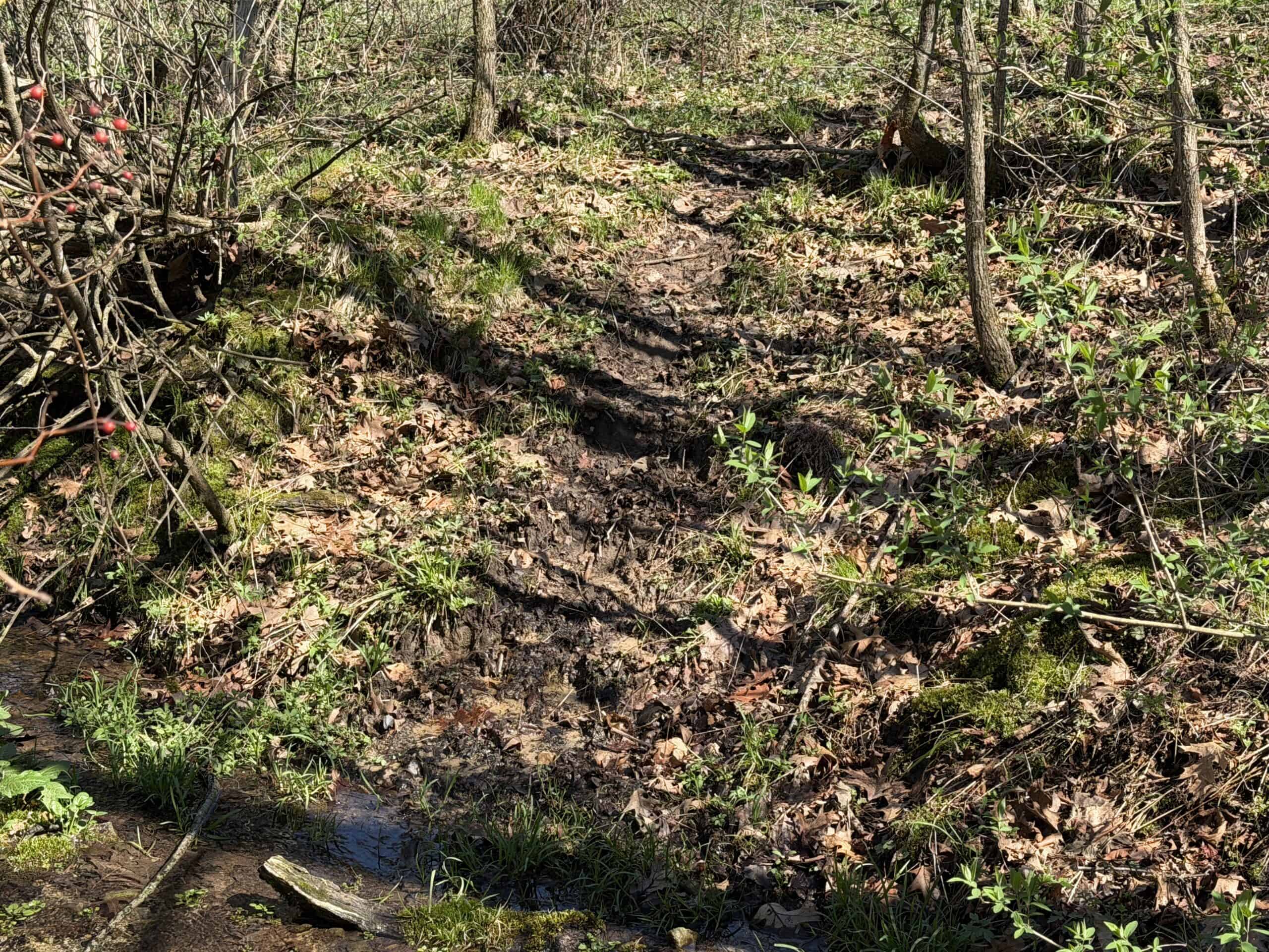 SW Wisconsin Country Home, 30.53 Wooded Acres (Driftless Region)