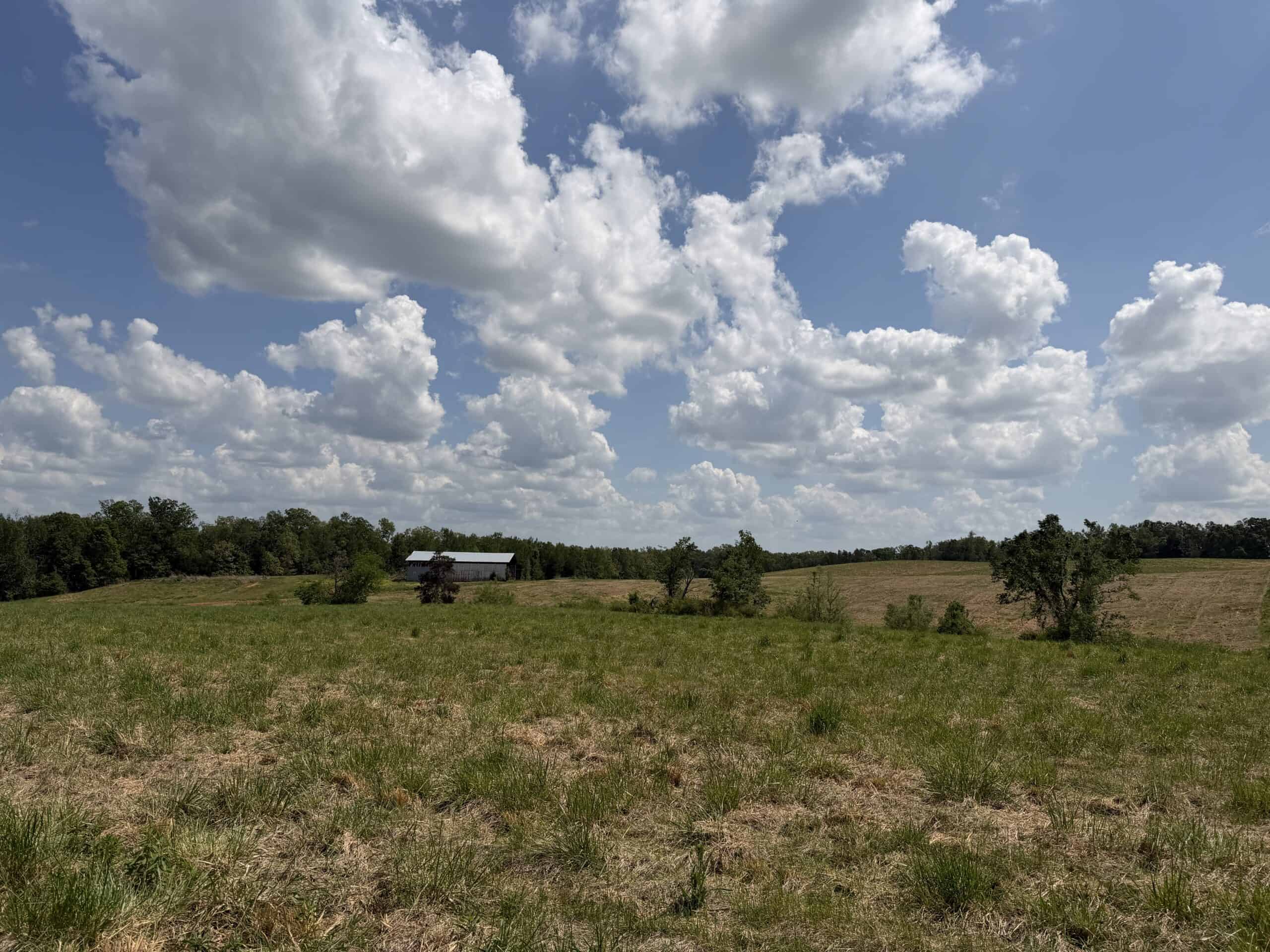 HOBBY FARM FOR SALE IN TN. AMAZING BUILDING SITES WITH VIEWS AND DEER HUNTING LAND FOR SALE IN TENNESSEE.