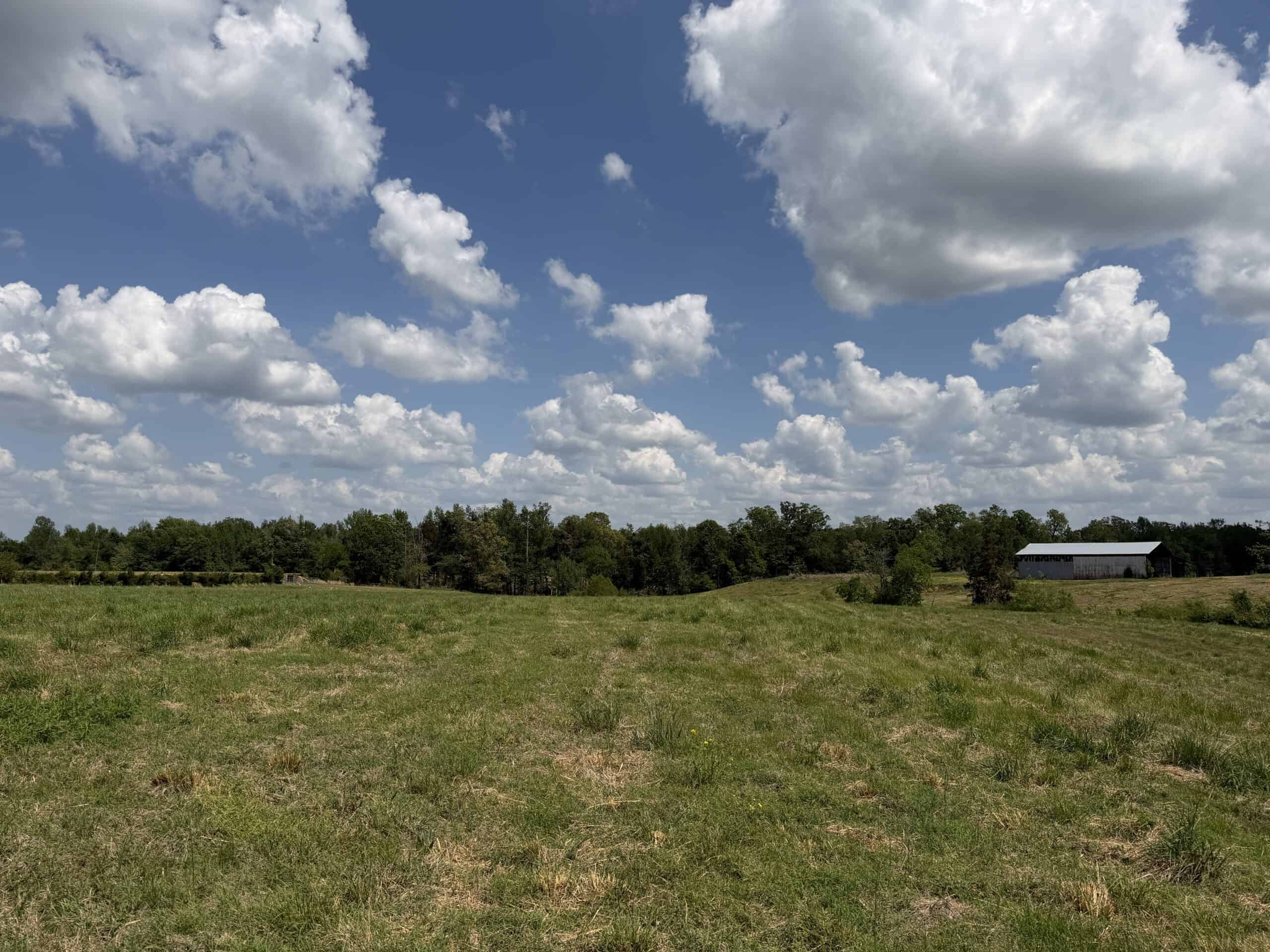 HOBBY FARM FOR SALE IN TN. AMAZING BUILDING SITES WITH VIEWS AND DEER HUNTING LAND FOR SALE IN TENNESSEE.