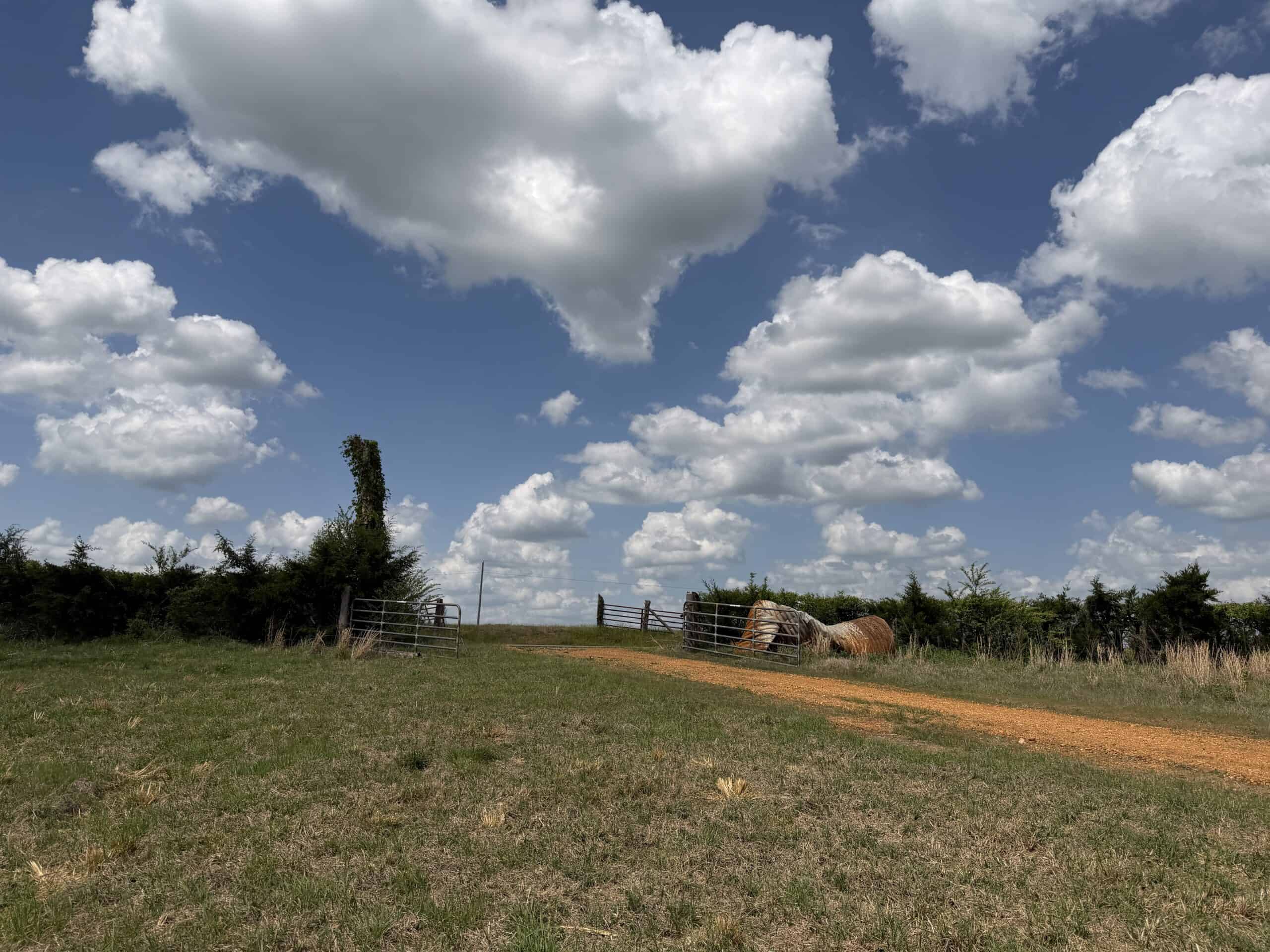 PASTURELAND FOR SALE IN TN, BIG HAY BARN, BRANCH, FENCING