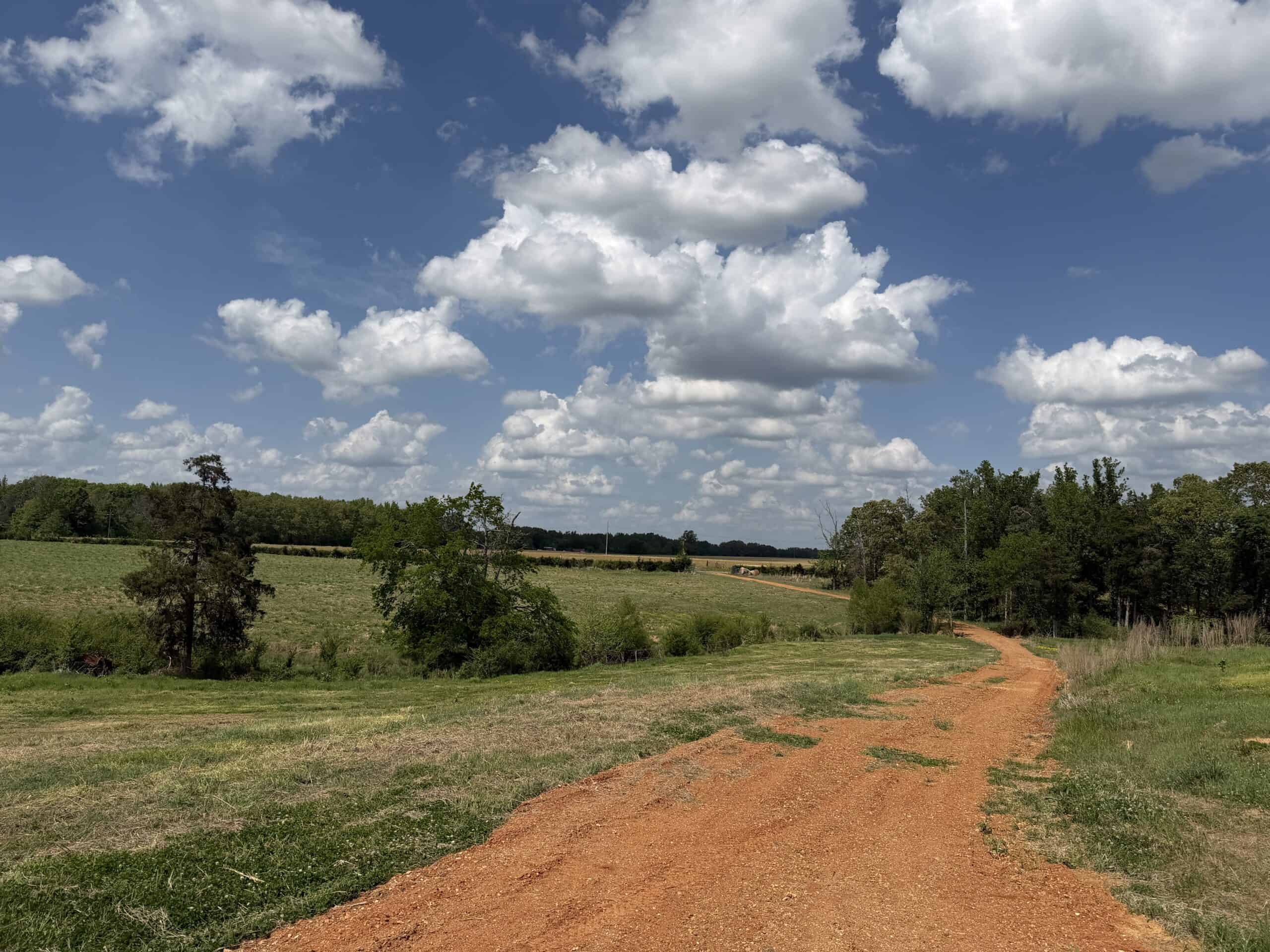 PASTURELAND FOR SALE IN TN, BIG HAY BARN, BRANCH, FENCING
