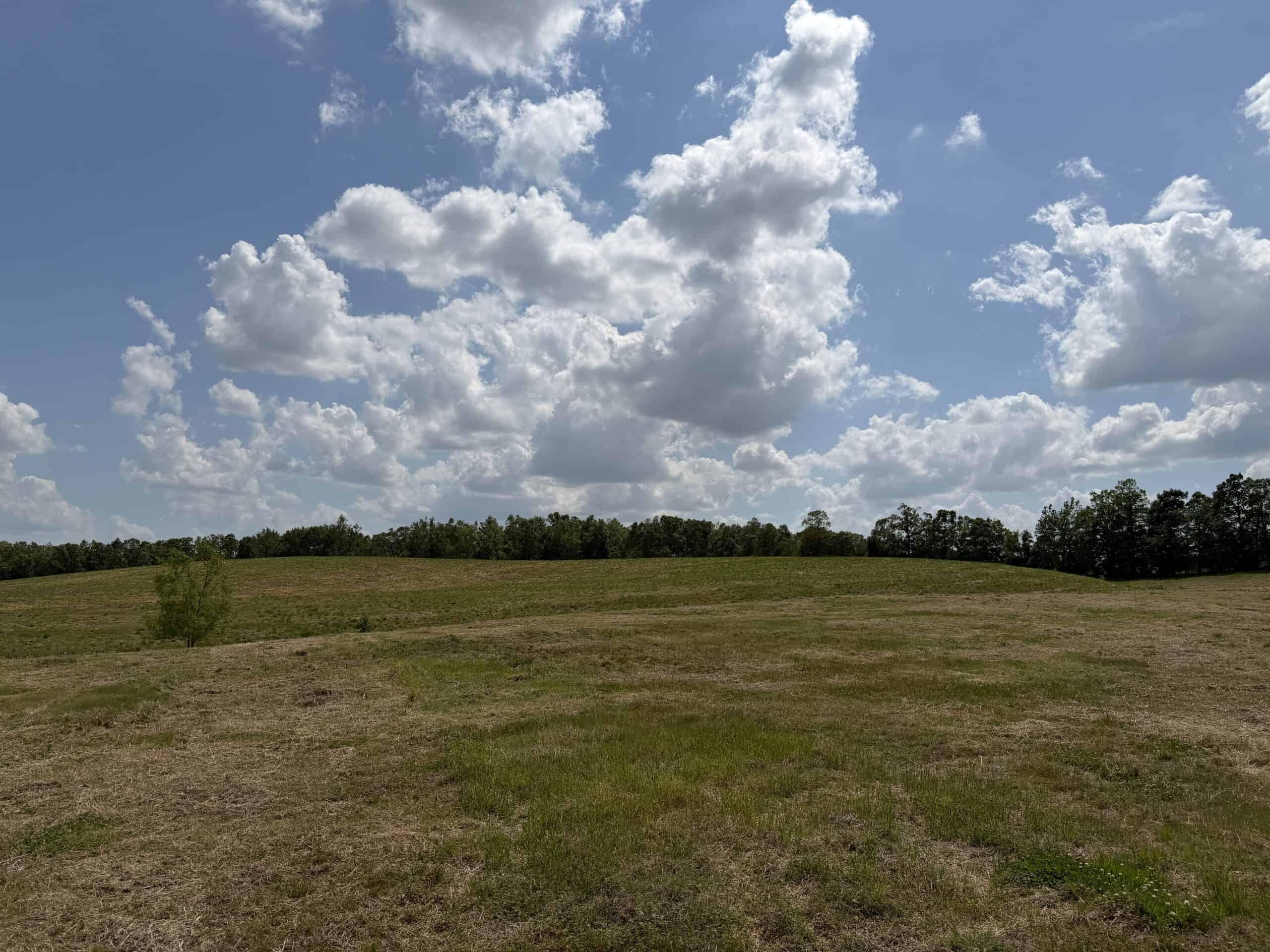 HOBBY FARM FOR SALE IN TN. AMAZING BUILDING SITES WITH VIEWS AND DEER HUNTING LAND FOR SALE IN TENNESSEE.