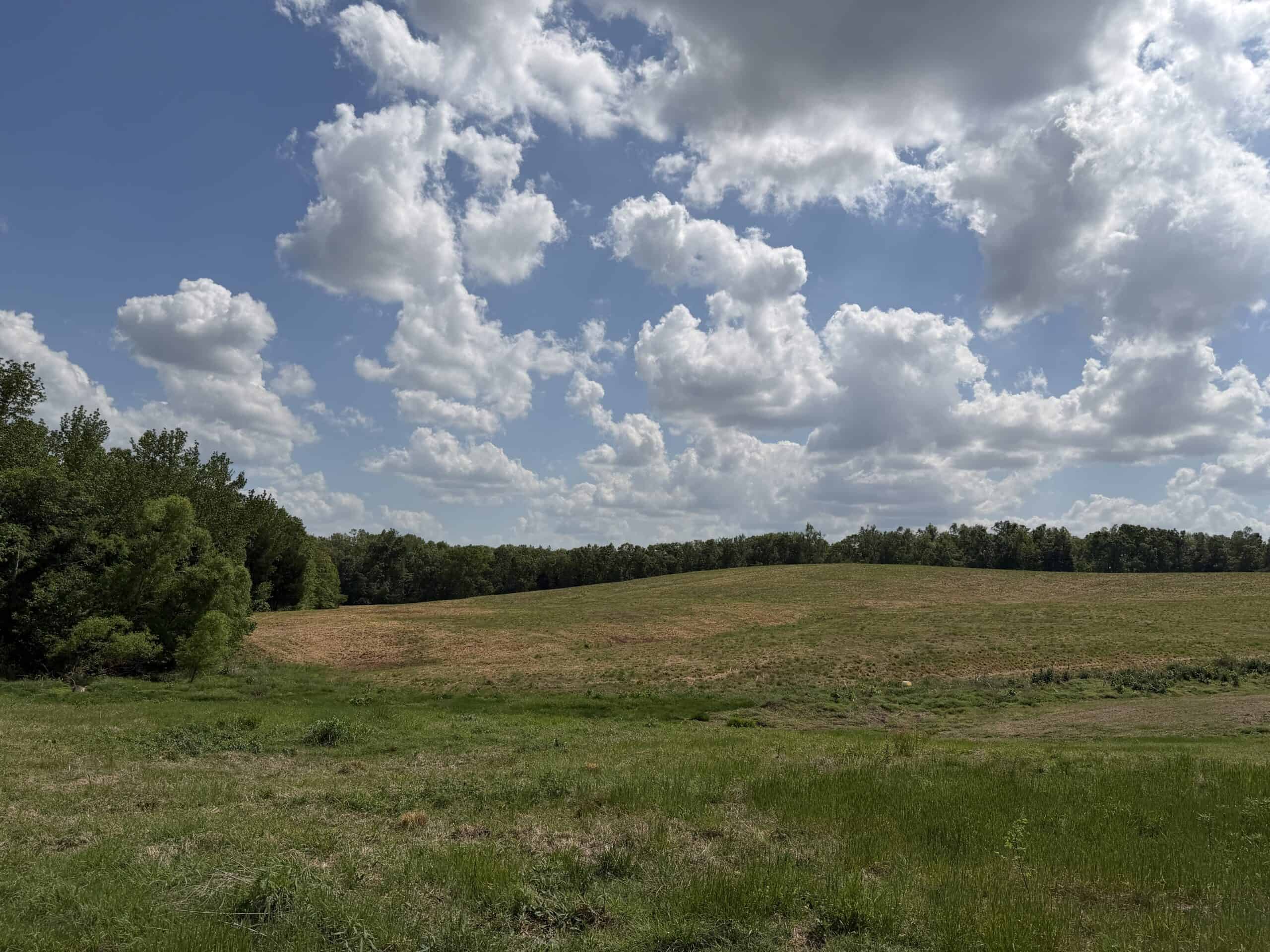 HOBBY FARM FOR SALE IN TN. AMAZING BUILDING SITES WITH VIEWS AND DEER HUNTING LAND FOR SALE IN TENNESSEE.