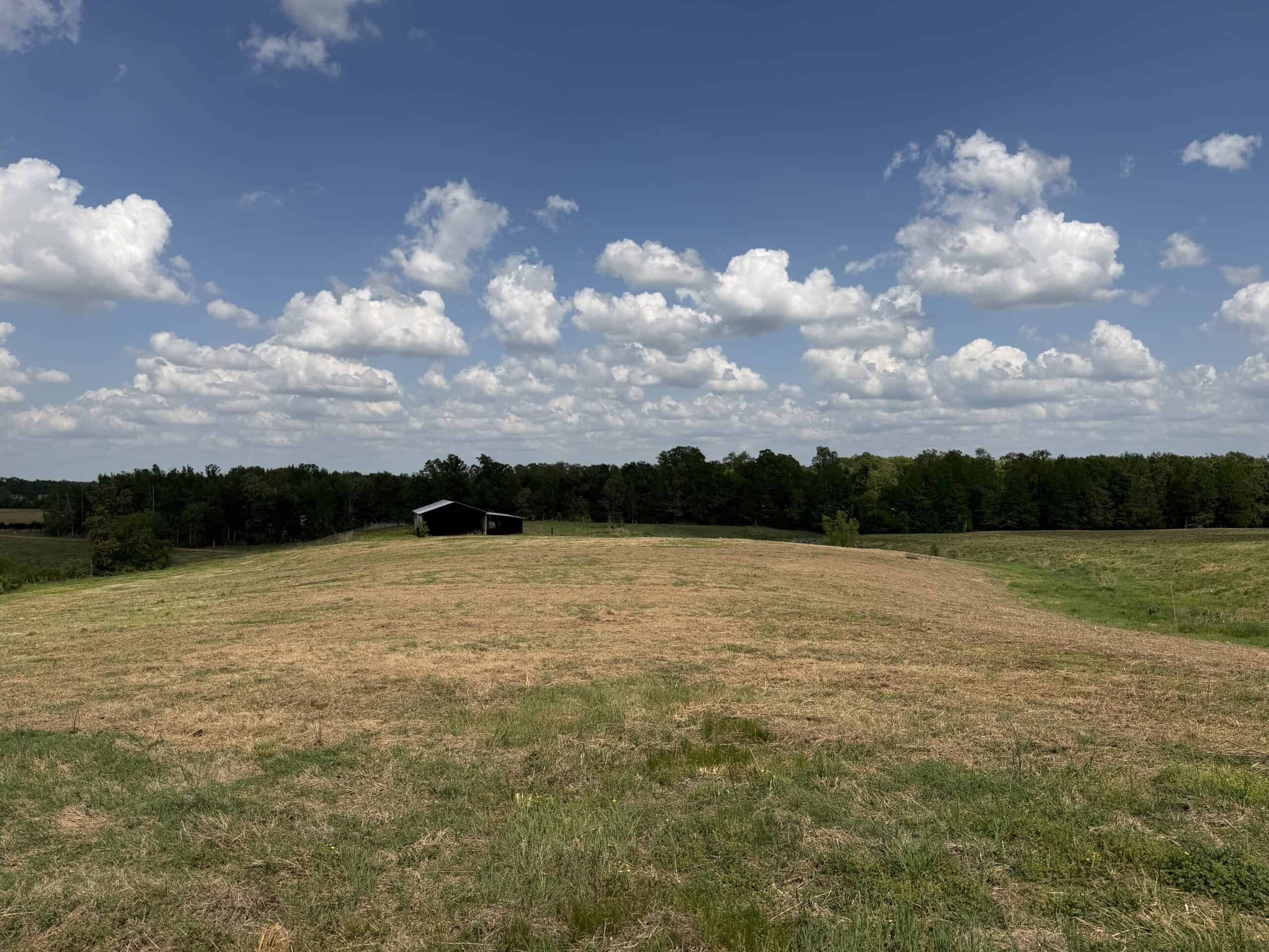 PASTURELAND FOR SALE IN TN, BIG HAY BARN, BRANCH, FENCING