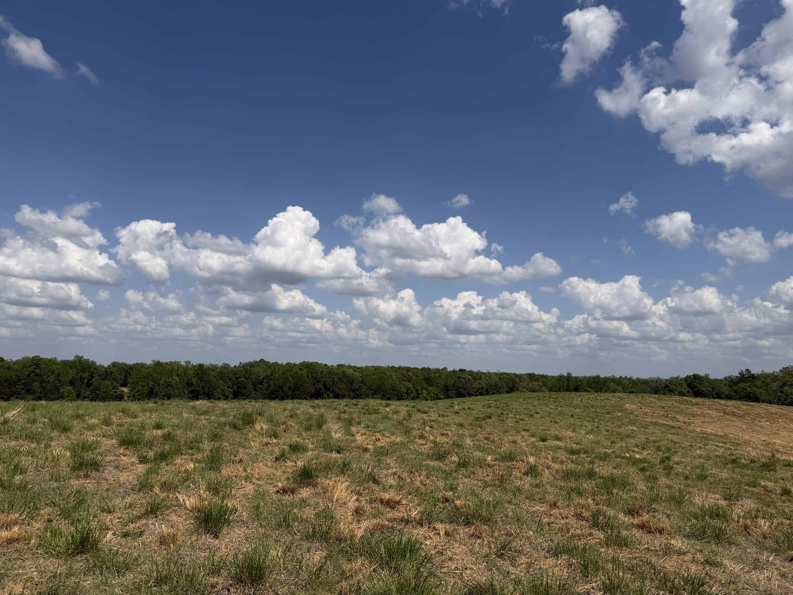 HOBBY FARM FOR SALE IN TN. AMAZING BUILDING SITES WITH VIEWS AND DEER HUNTING LAND FOR SALE IN TENNESSEE.