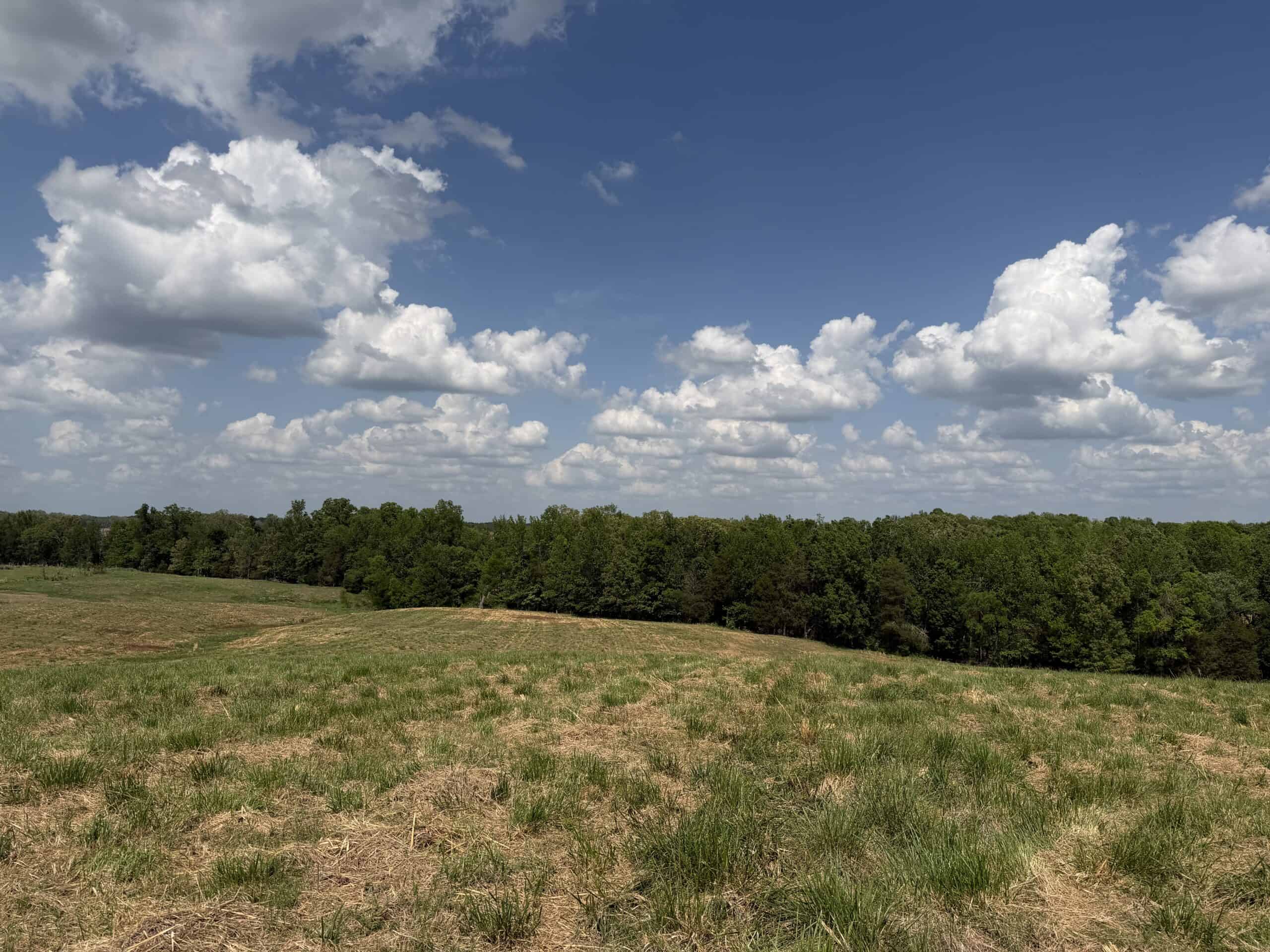 HOBBY FARM FOR SALE IN TN. AMAZING BUILDING SITES WITH VIEWS AND DEER HUNTING LAND FOR SALE IN TENNESSEE.