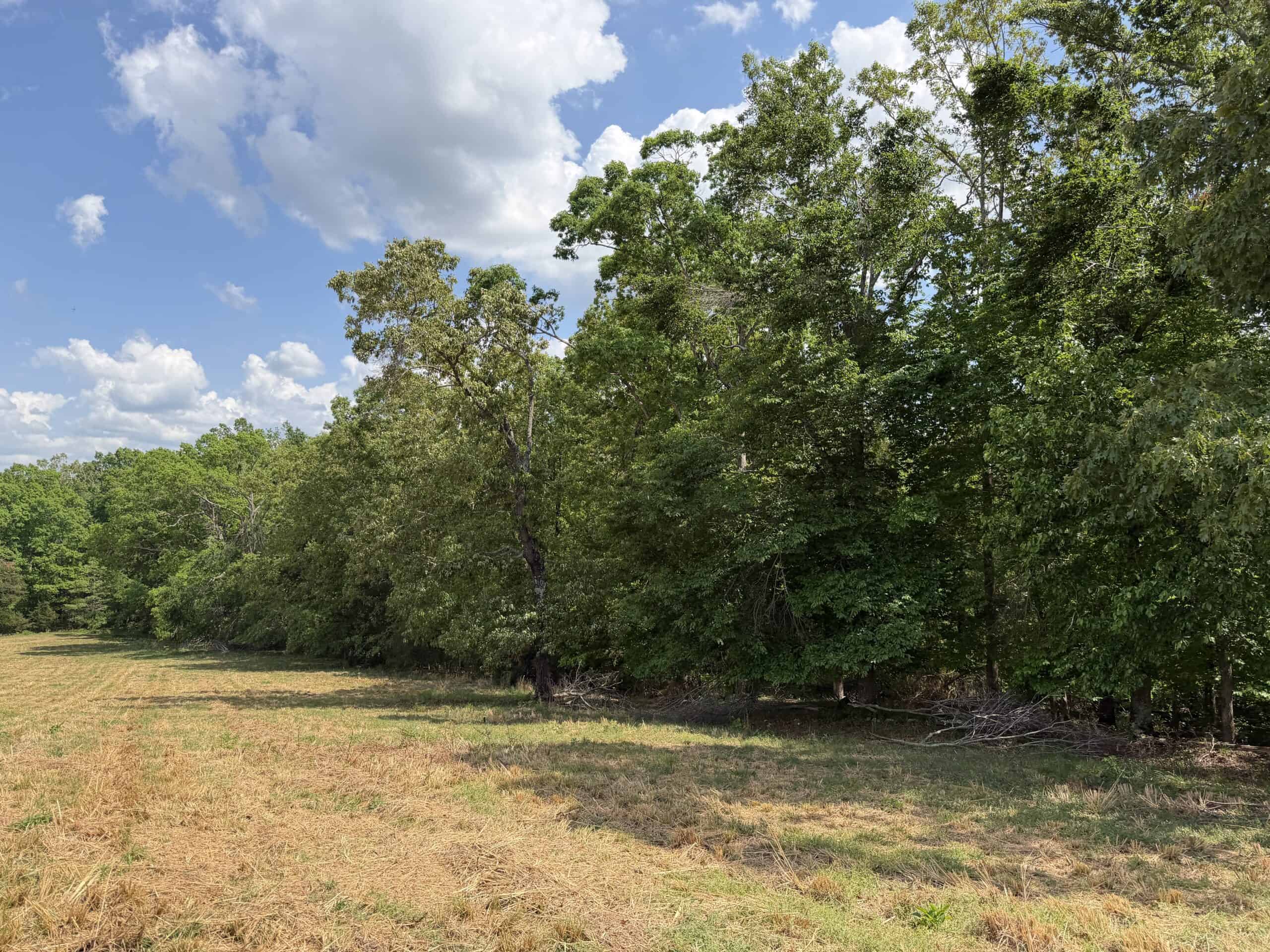 PASTURELAND FOR SALE IN TN, BIG HAY BARN, BRANCH, FENCING