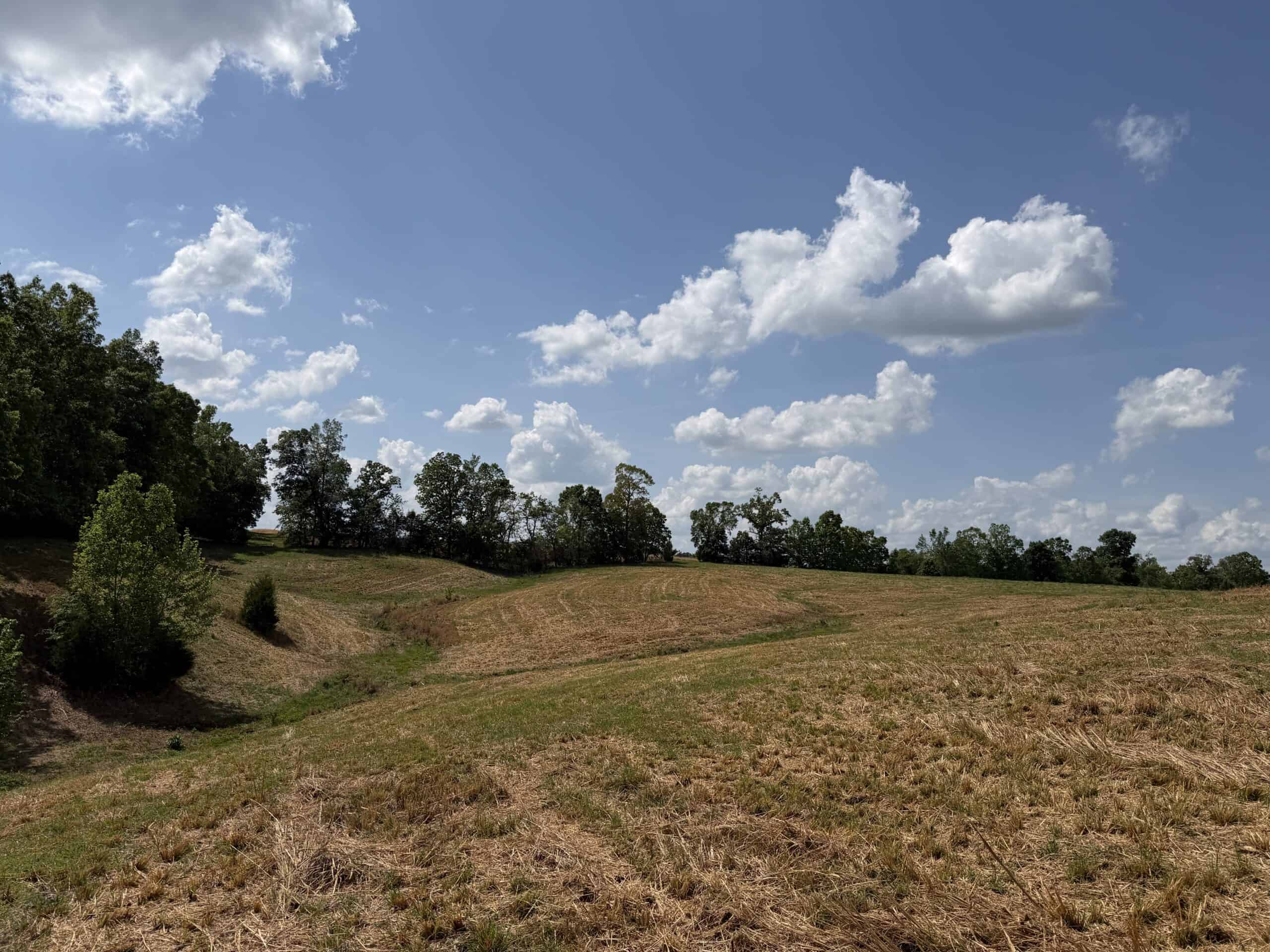 HOBBY FARM FOR SALE IN TN. AMAZING BUILDING SITES WITH VIEWS AND DEER HUNTING LAND FOR SALE IN TENNESSEE.