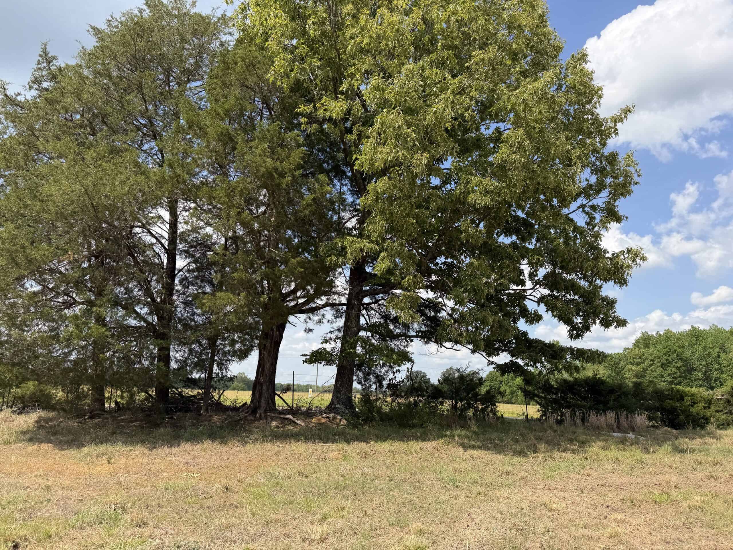 OPEN LAND FOR SALE IN TN, OLD HOUSE, BRANCH, FENCING, DEER & TURKEY HUNTING