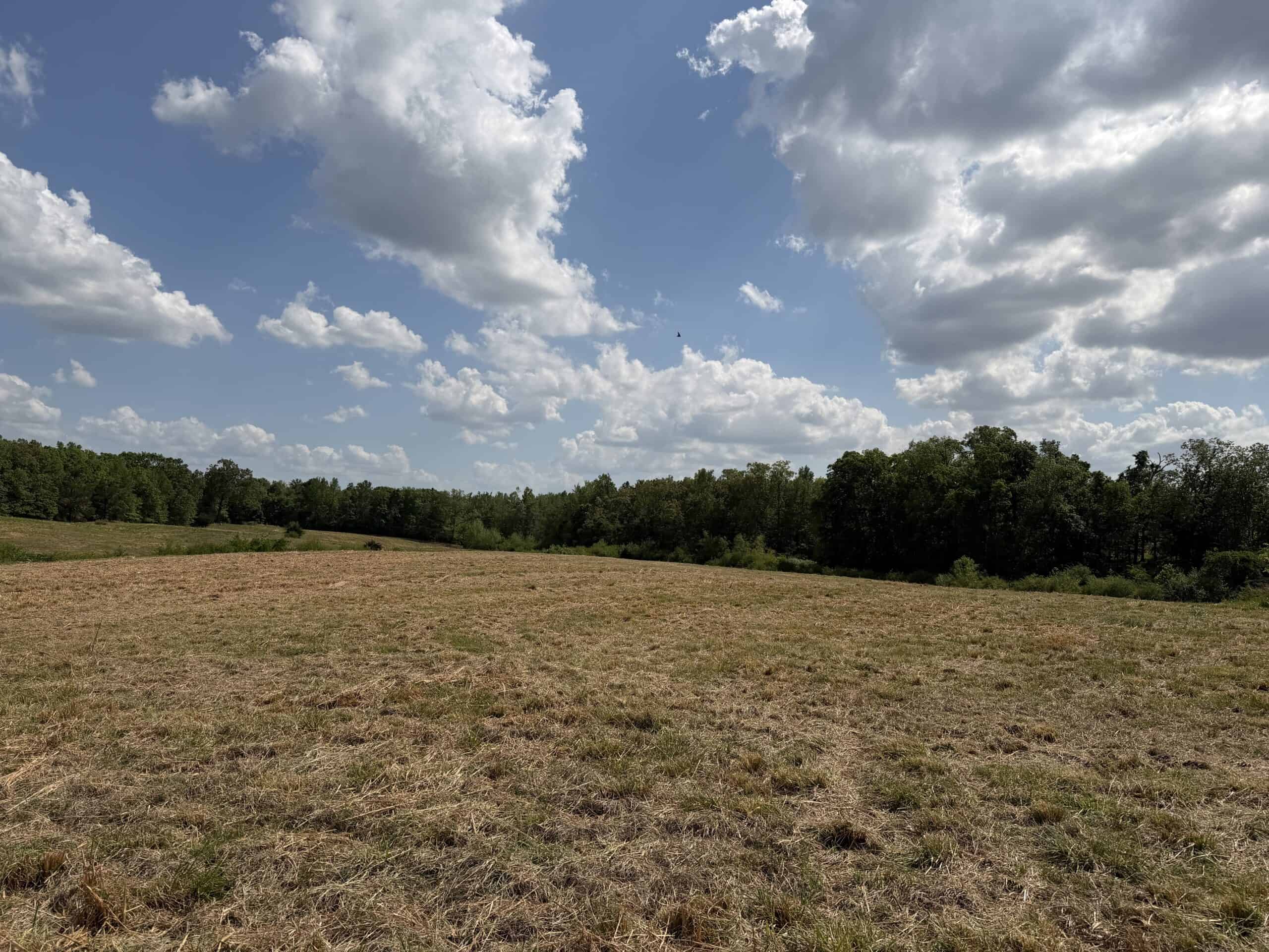 PASTURELAND FOR SALE IN TN, BIG HAY BARN, BRANCH, FENCING