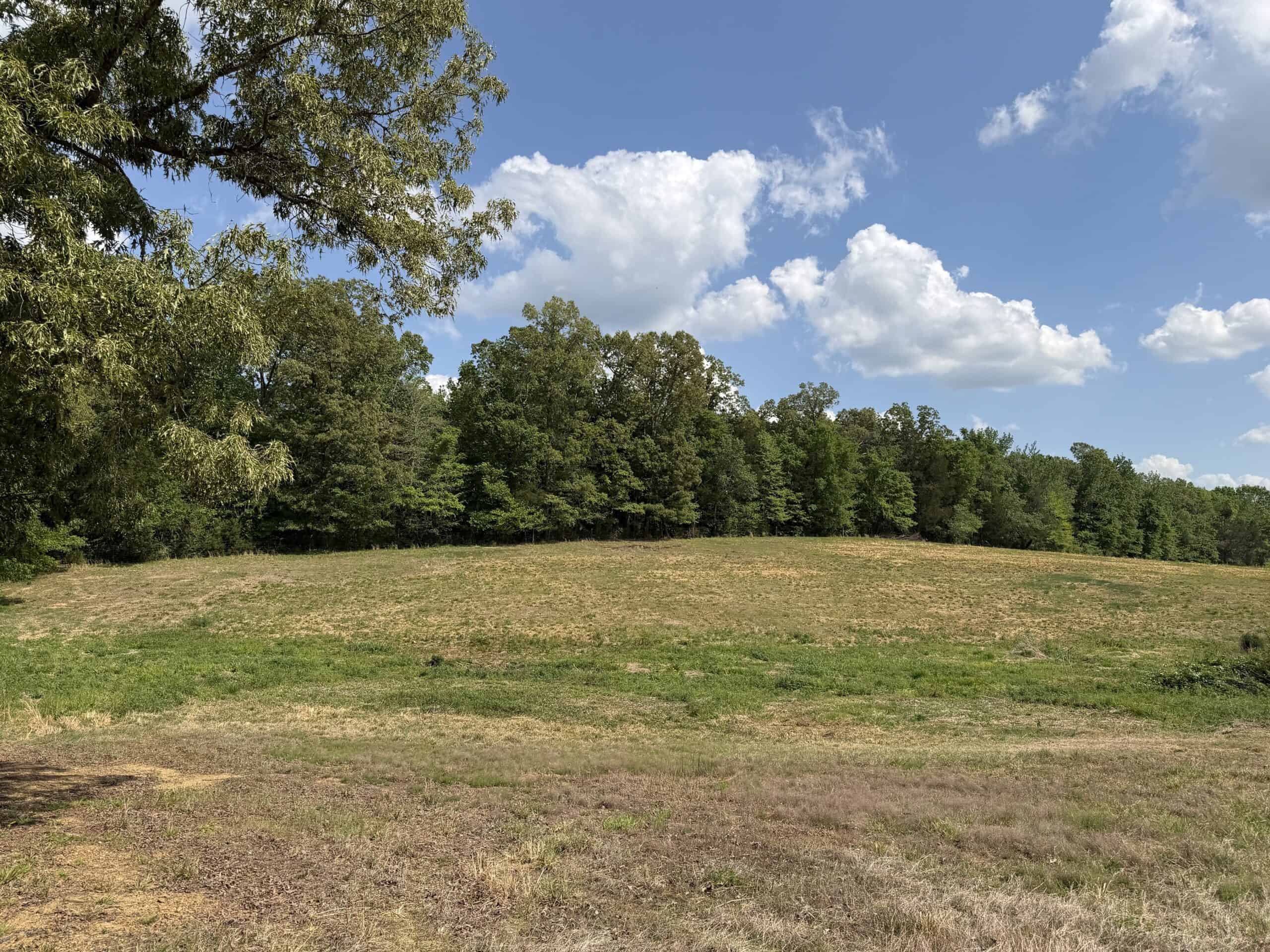 PASTURELAND FOR SALE IN TN, BIG HAY BARN, BRANCH, FENCING