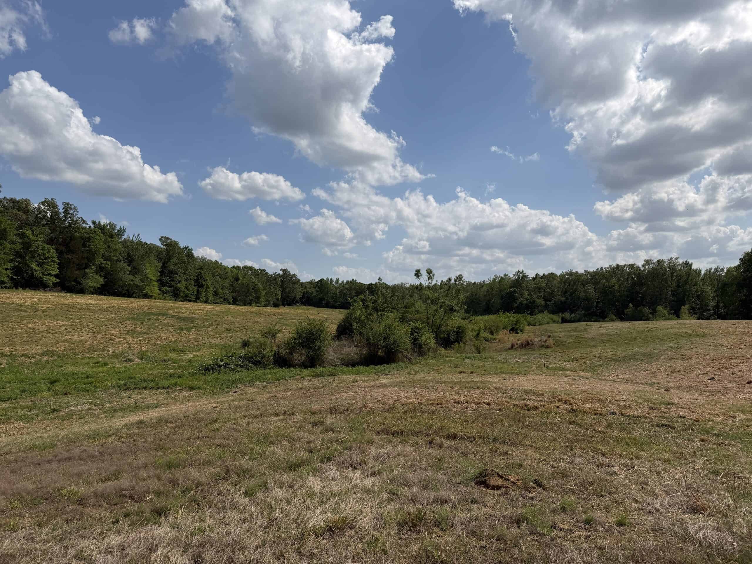 OPEN LAND FOR SALE IN TN, OLD HOUSE, BRANCH, FENCING, DEER & TURKEY HUNTING