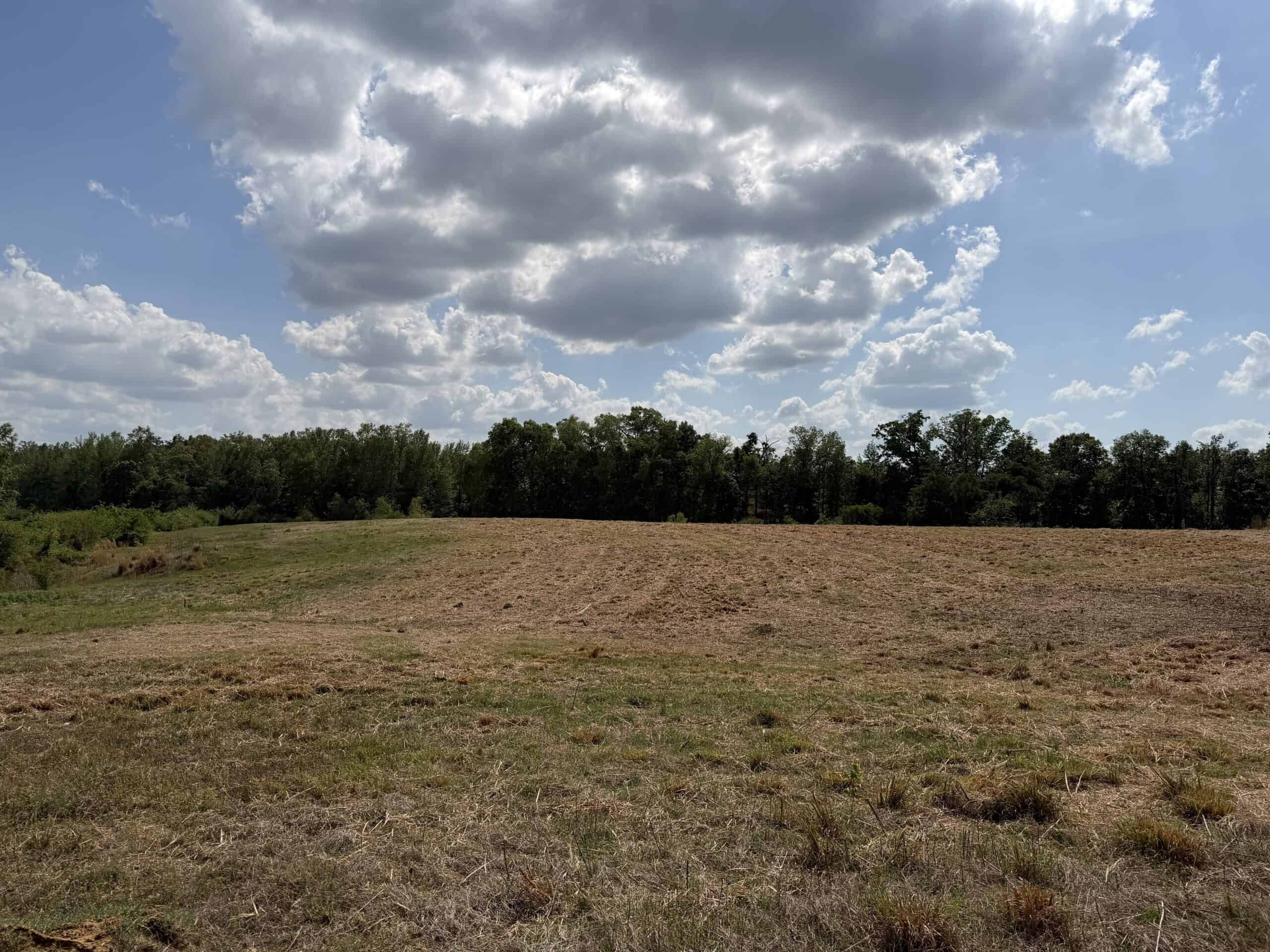 PASTURELAND FOR SALE IN TN, BIG HAY BARN, BRANCH, FENCING