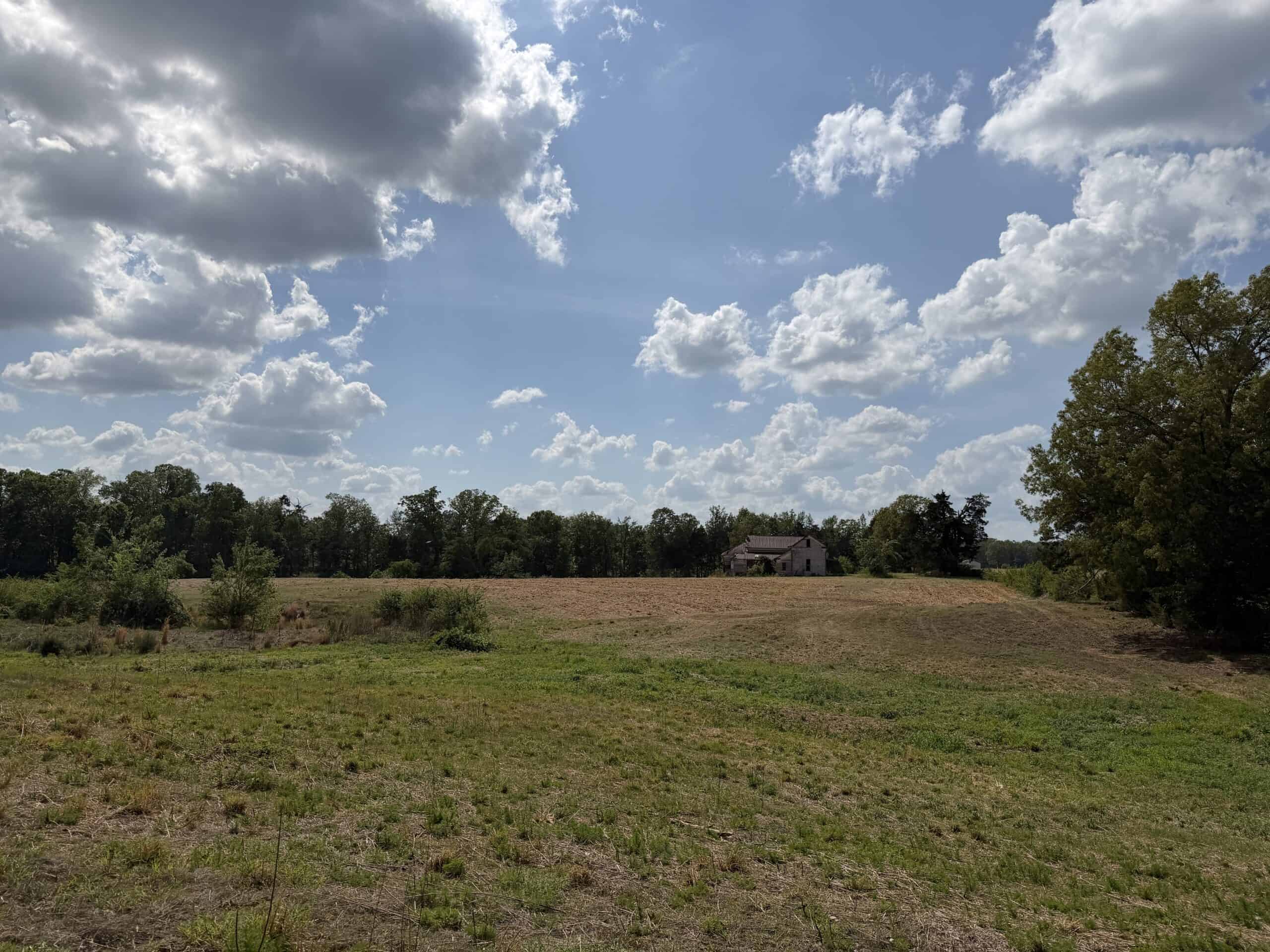 OPEN LAND FOR SALE IN TN, OLD HOUSE, BRANCH, FENCING, DEER & TURKEY HUNTING