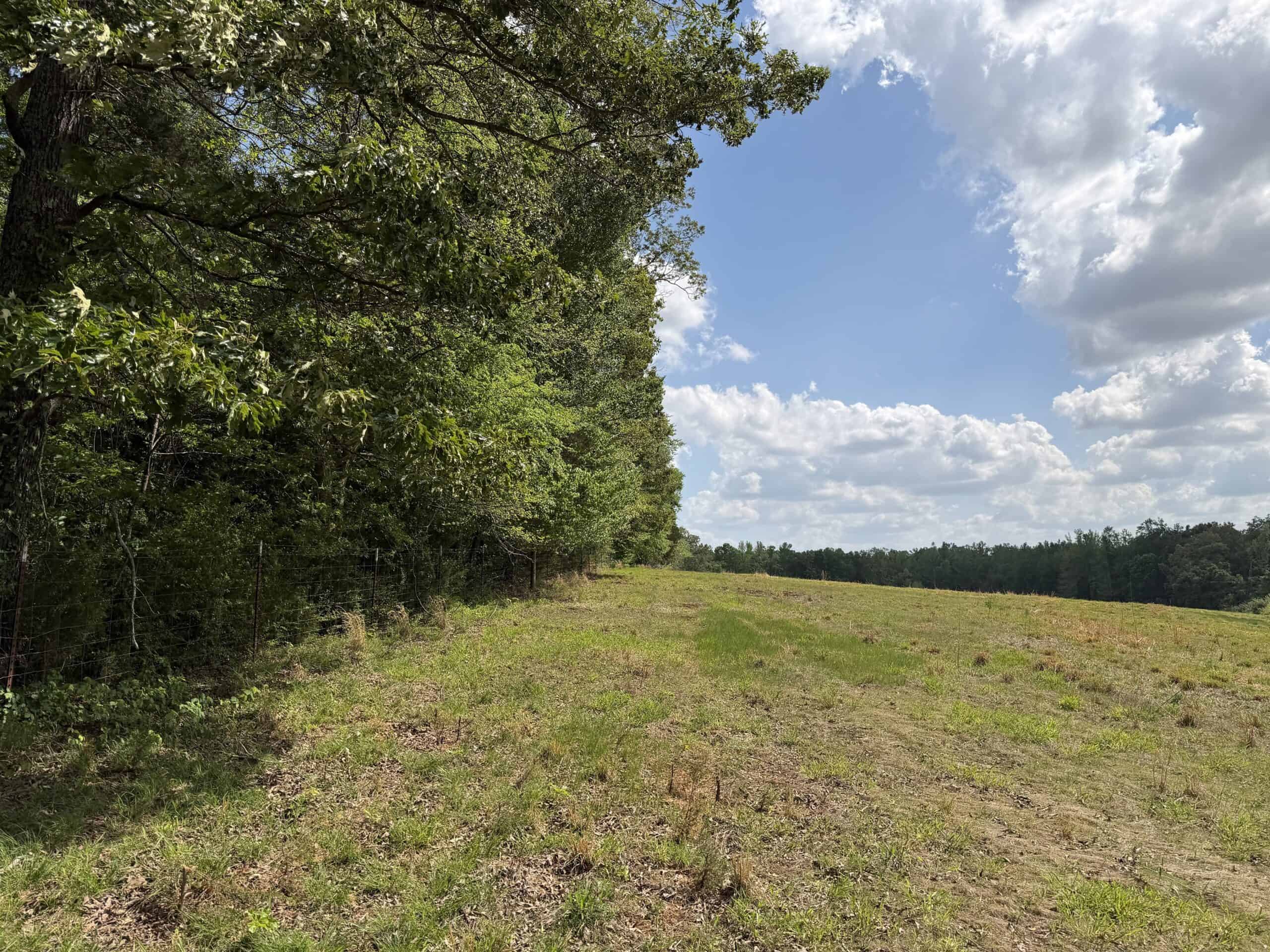 PASTURELAND FOR SALE IN TN, BIG HAY BARN, BRANCH, FENCING