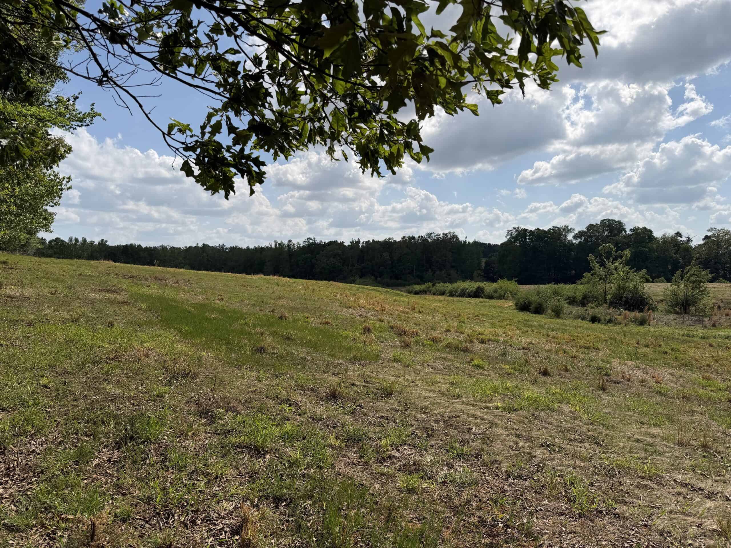 PASTURELAND FOR SALE IN TN, BIG HAY BARN, BRANCH, FENCING
