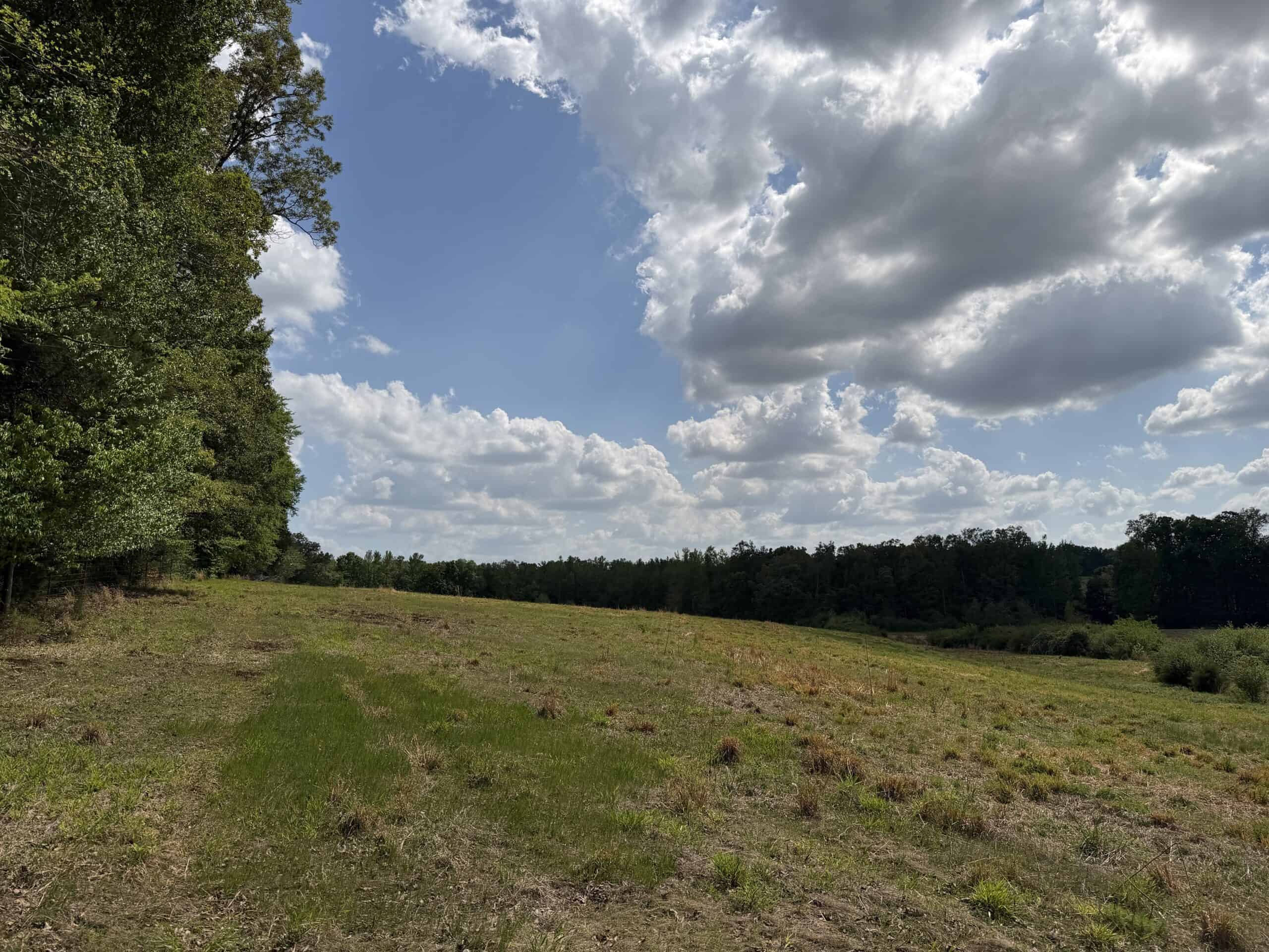 OPEN LAND FOR SALE IN TN, OLD HOUSE, BRANCH, FENCING, DEER & TURKEY HUNTING