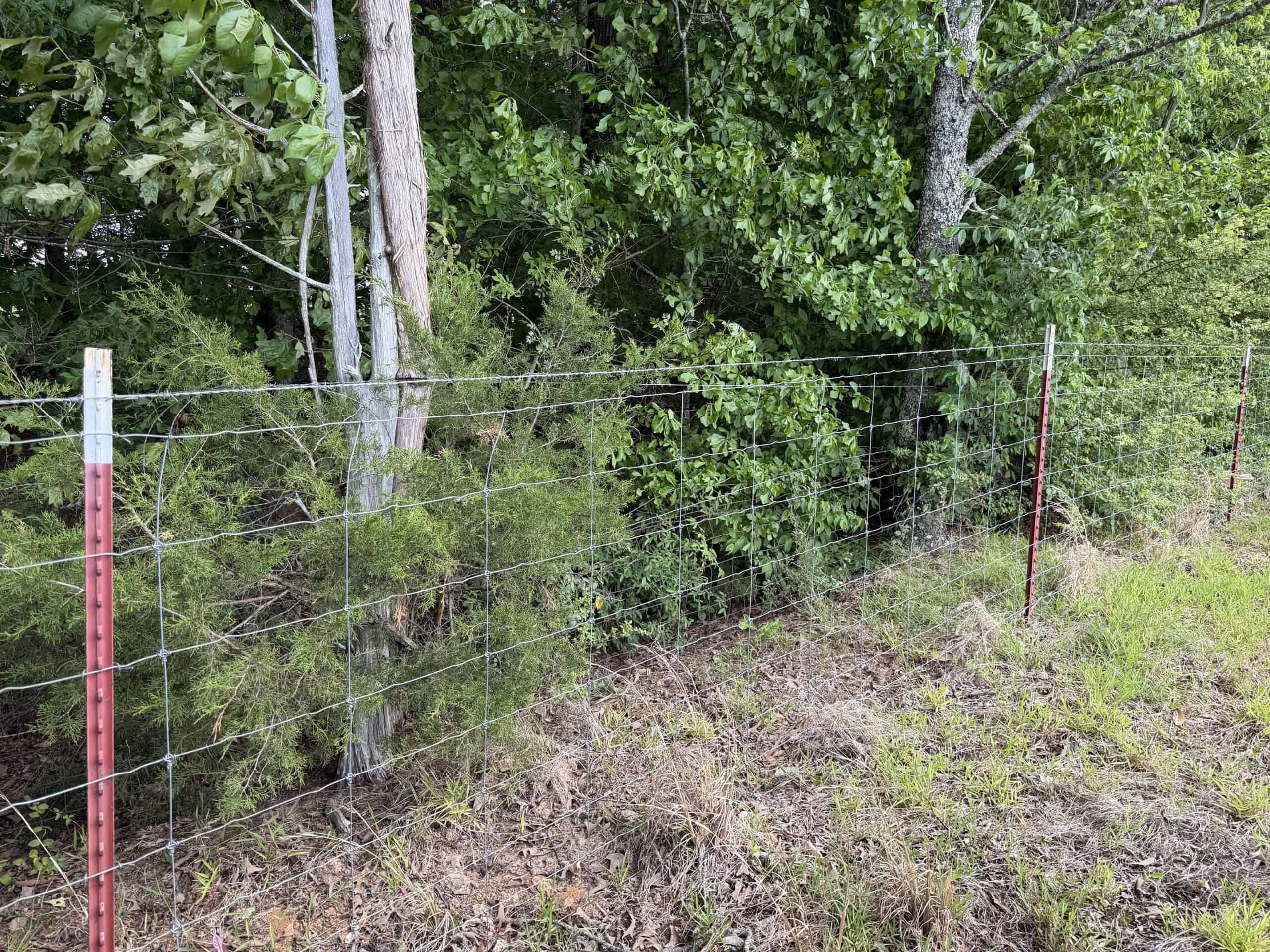 PASTURELAND FOR SALE IN TN, BIG HAY BARN, BRANCH, FENCING