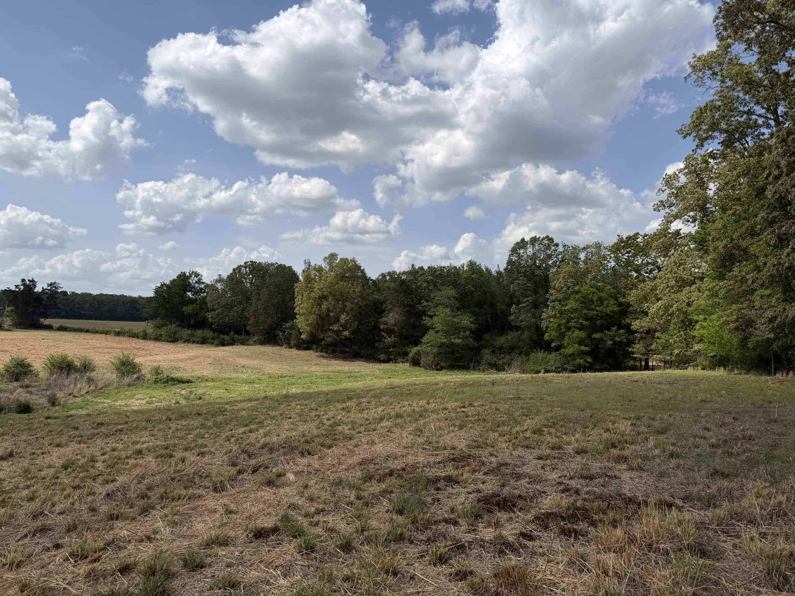 PASTURELAND FOR SALE IN TN, BIG HAY BARN, BRANCH, FENCING