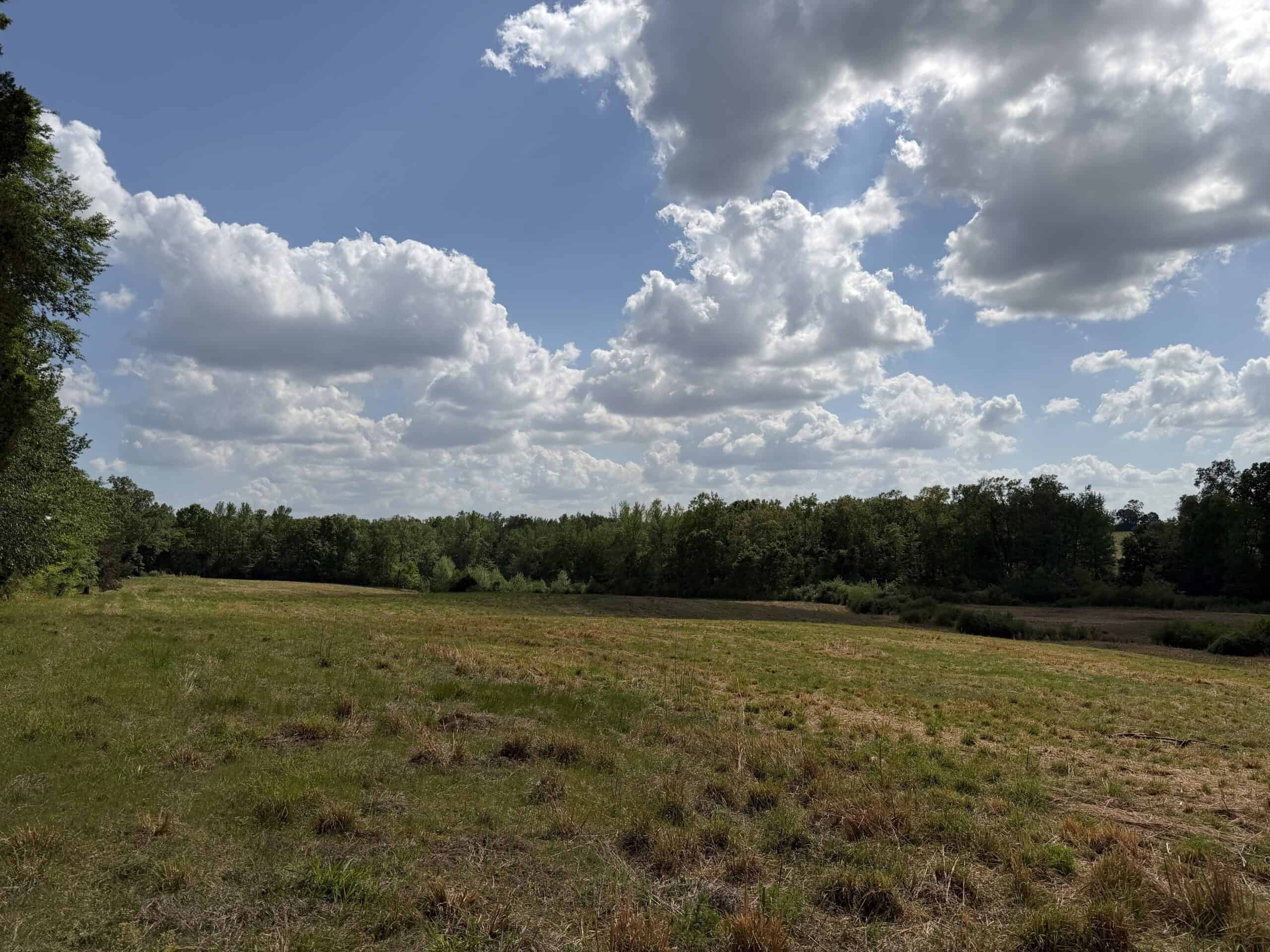 OPEN LAND FOR SALE IN TN, OLD HOUSE, BRANCH, FENCING, DEER & TURKEY HUNTING