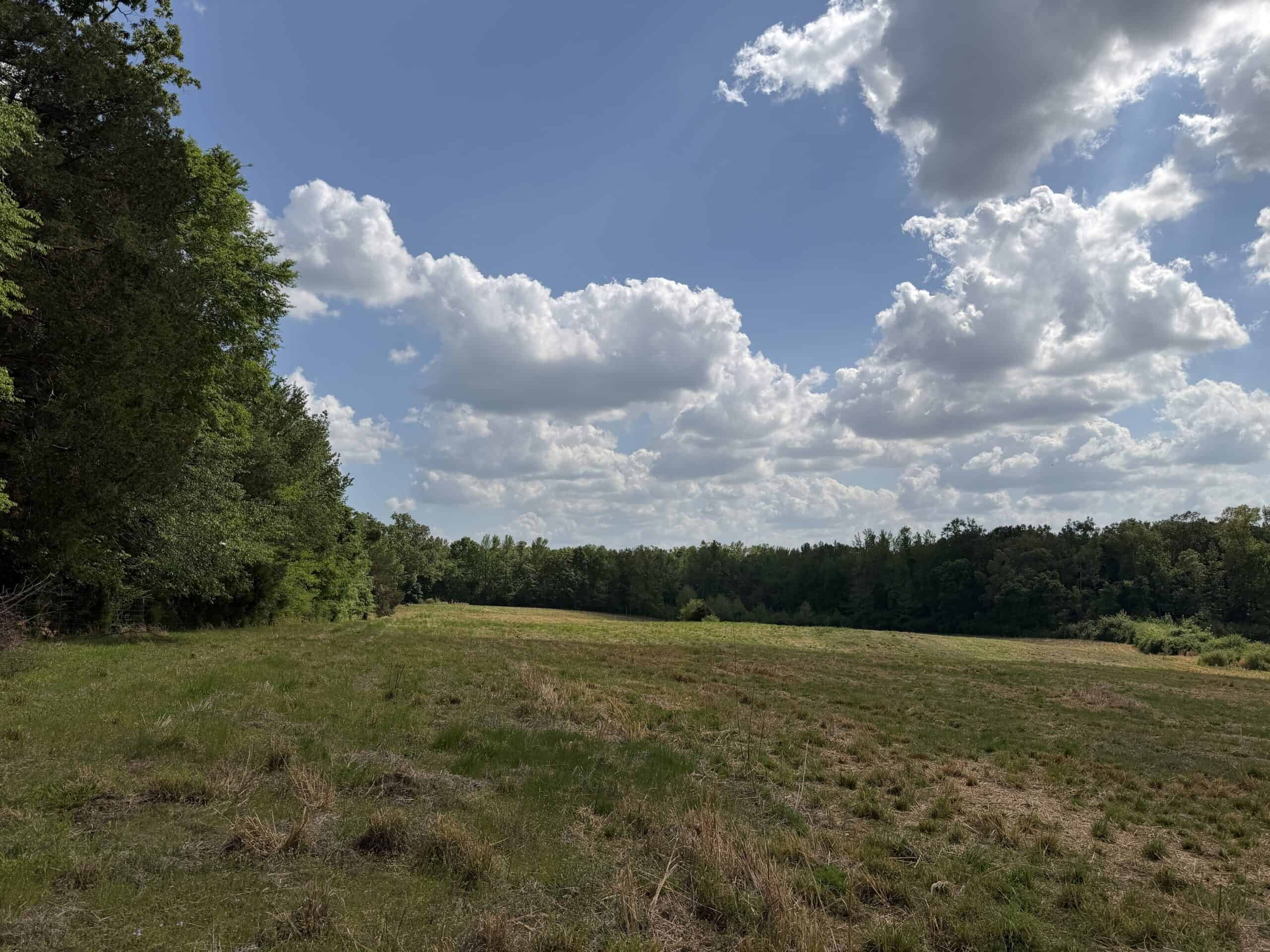 PASTURELAND FOR SALE IN TN, BIG HAY BARN, BRANCH, FENCING