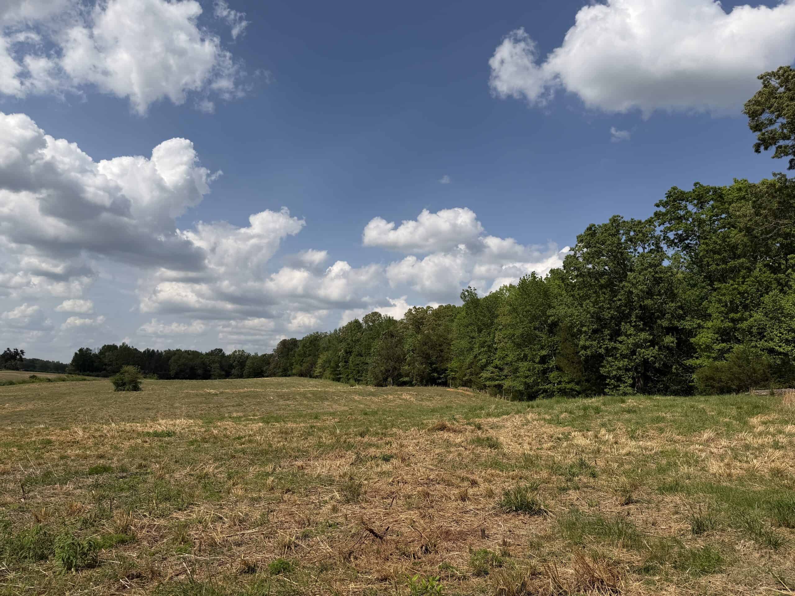 PASTURELAND FOR SALE IN TN, BIG HAY BARN, BRANCH, FENCING