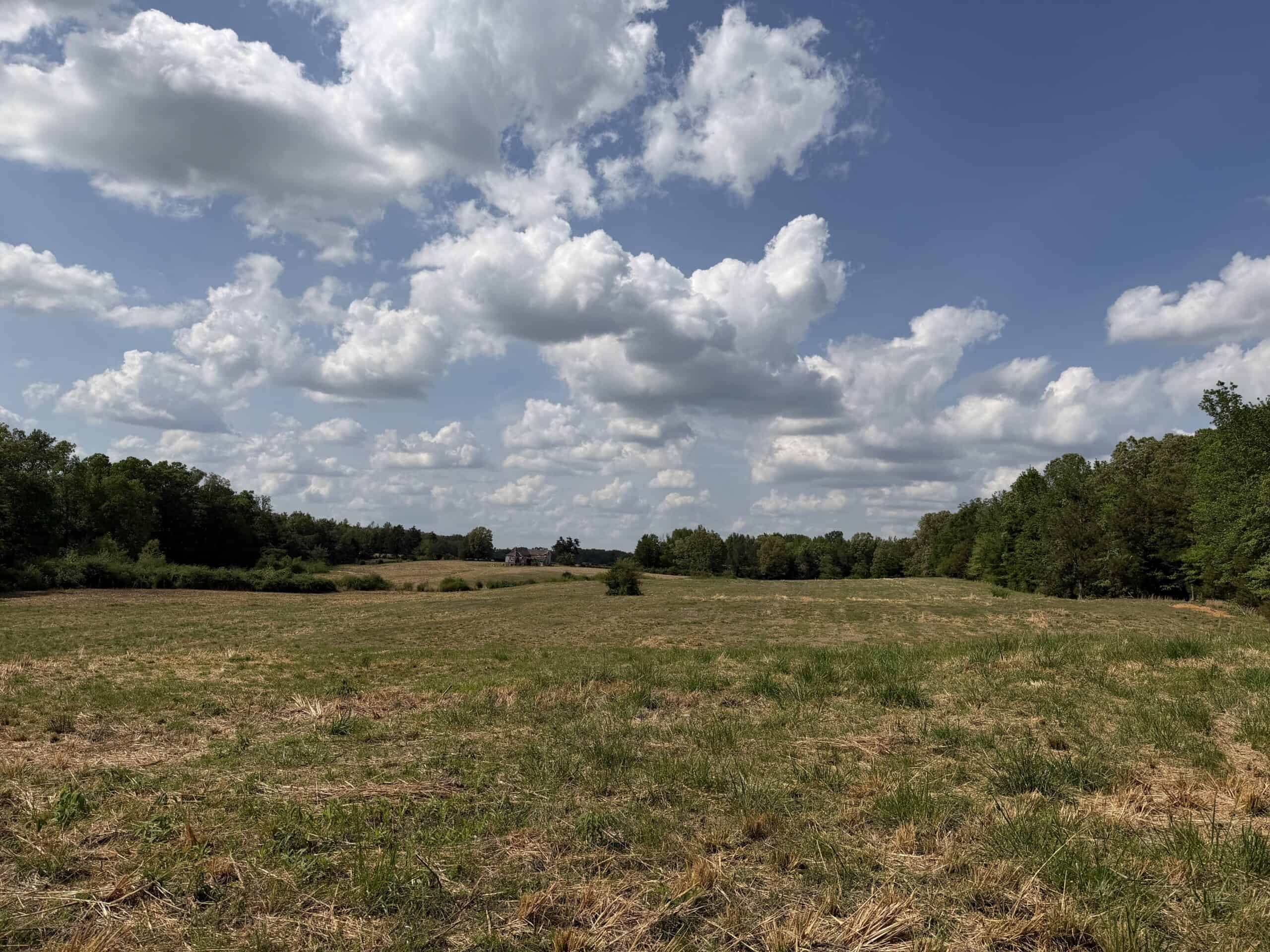 OPEN LAND FOR SALE IN TN, OLD HOUSE, BRANCH, FENCING, DEER & TURKEY HUNTING