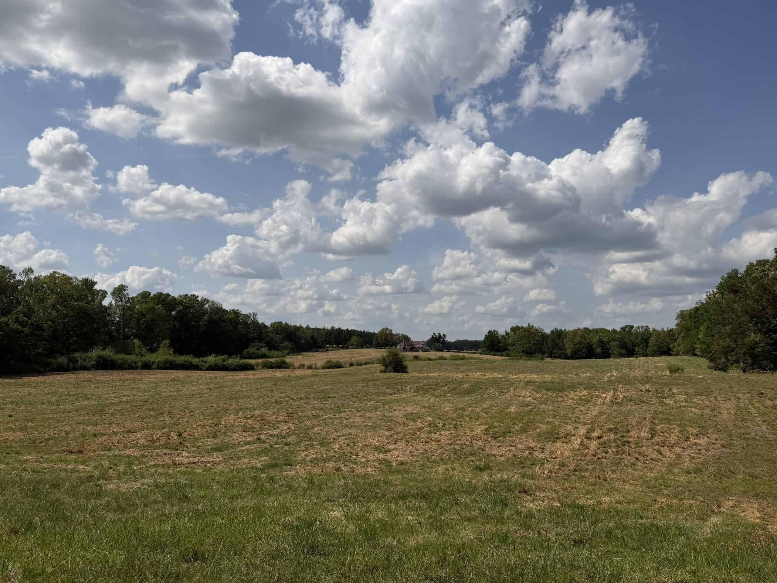 OPEN LAND FOR SALE IN TN, OLD HOUSE, BRANCH, FENCING, DEER & TURKEY HUNTING