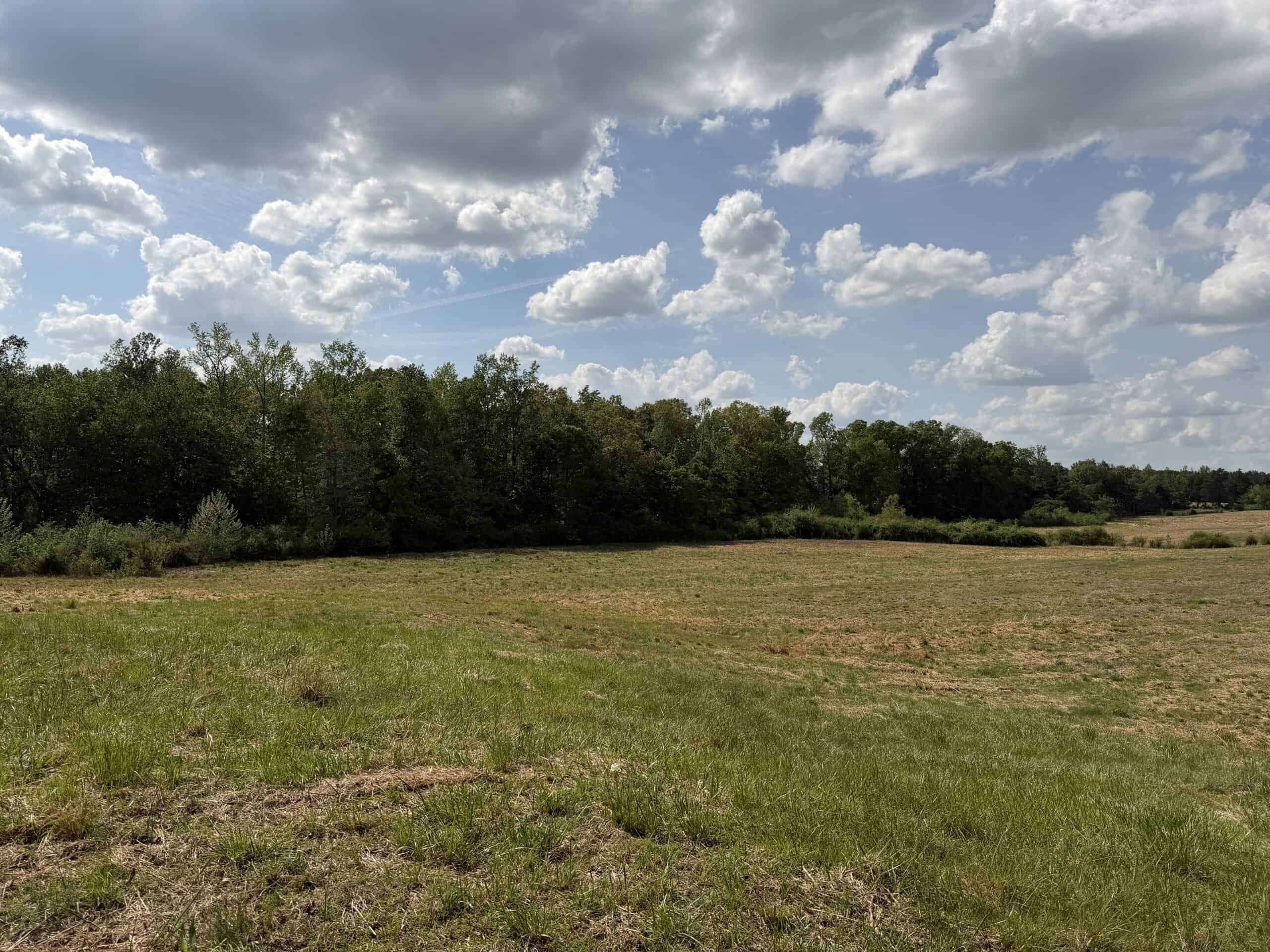 PASTURELAND FOR SALE IN TN, BIG HAY BARN, BRANCH, FENCING