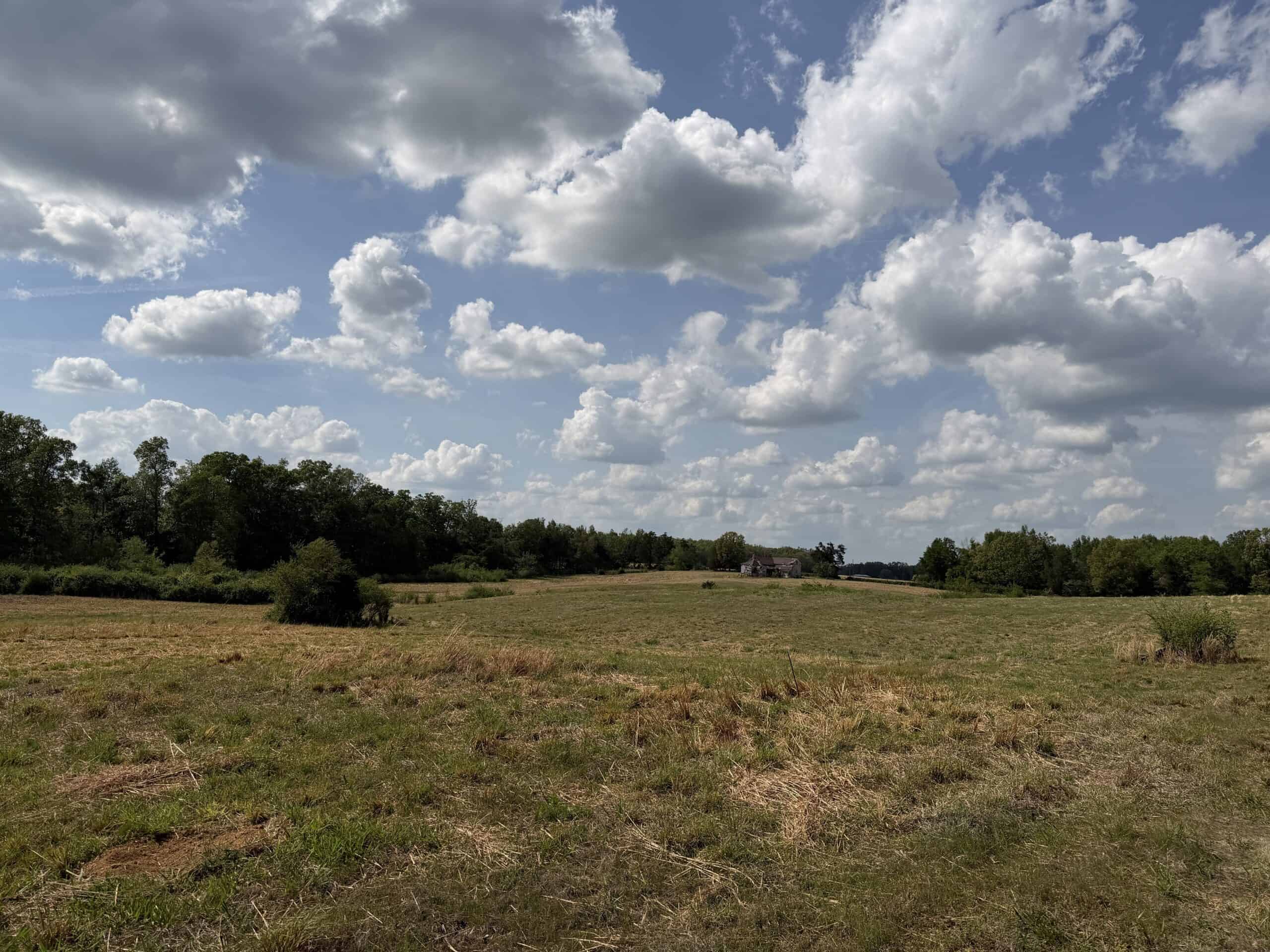 OPEN LAND FOR SALE IN TN, OLD HOUSE, BRANCH, FENCING, DEER & TURKEY HUNTING