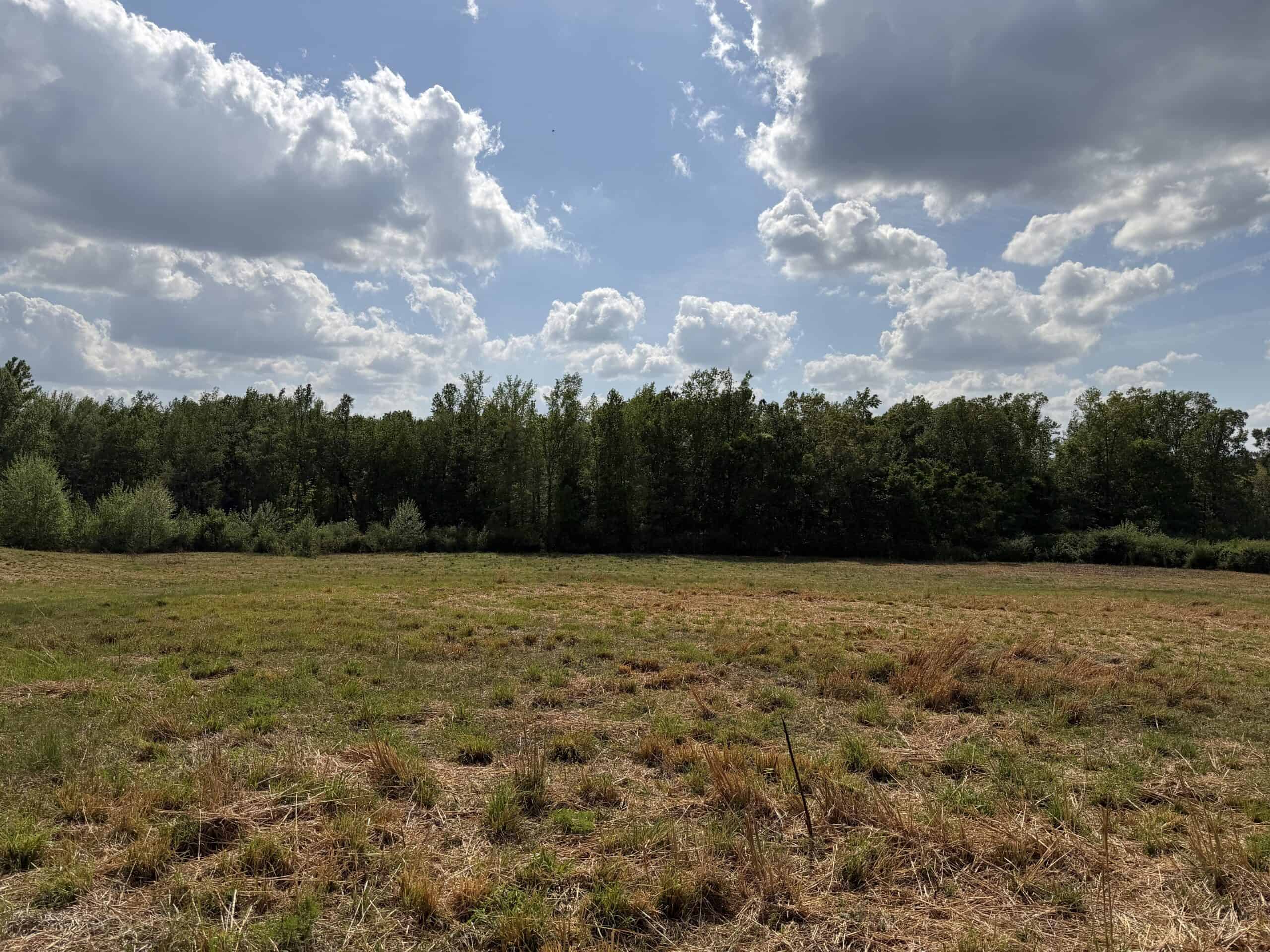 OPEN LAND FOR SALE IN TN, OLD HOUSE, BRANCH, FENCING, DEER & TURKEY HUNTING