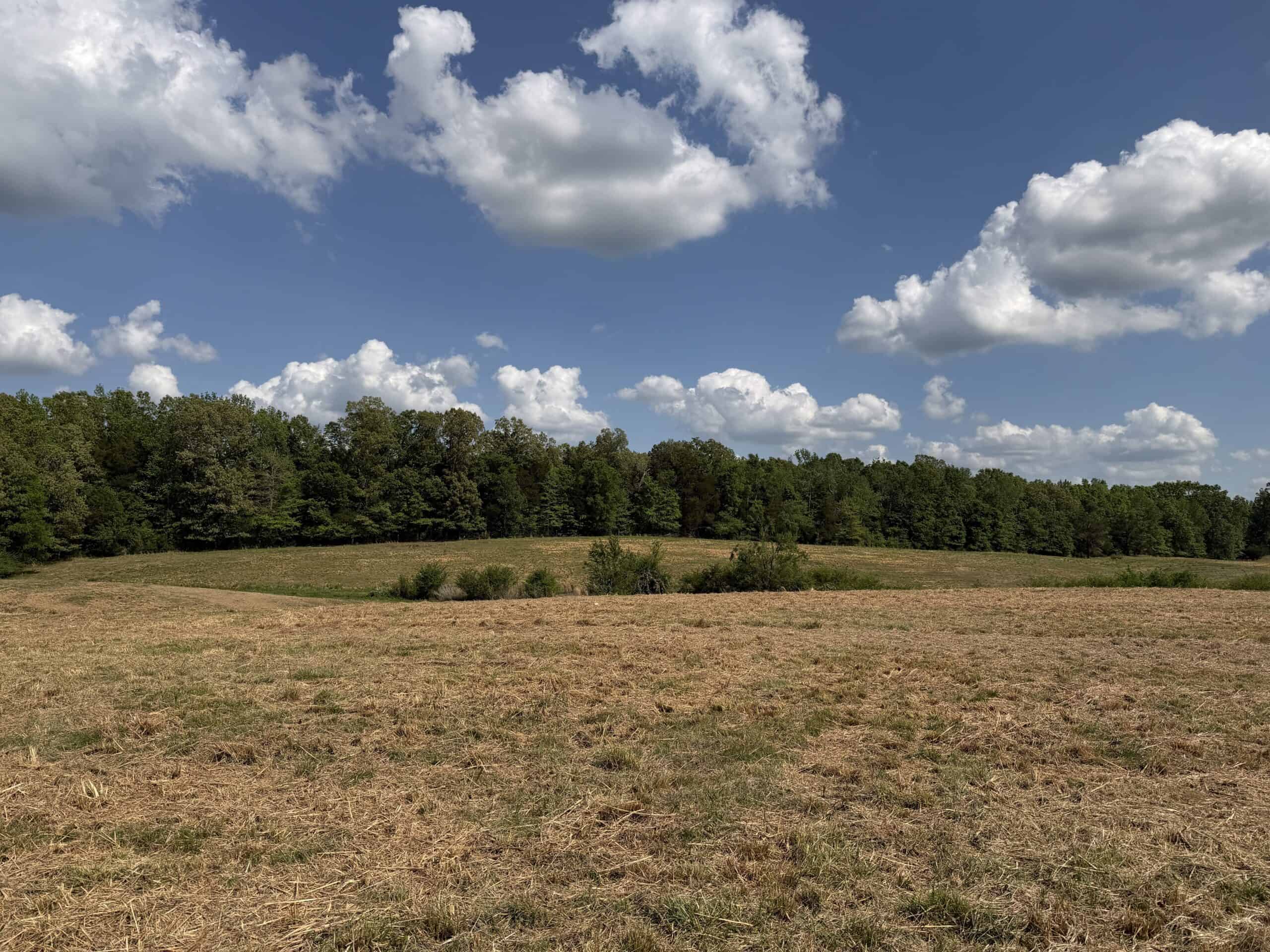 OPEN LAND FOR SALE IN TN, OLD HOUSE, BRANCH, FENCING, DEER & TURKEY HUNTING