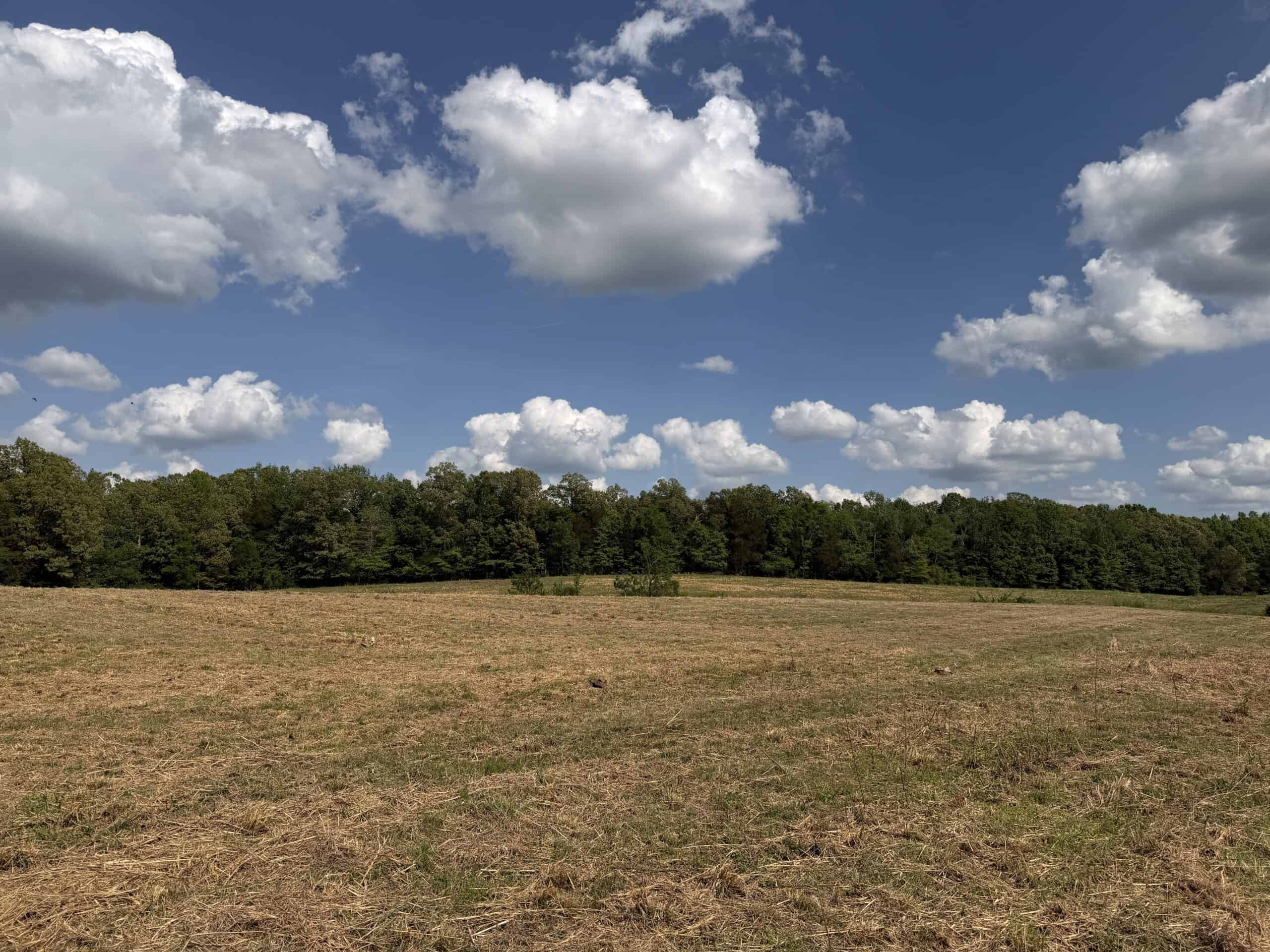 OPEN LAND FOR SALE IN TN, OLD HOUSE, BRANCH, FENCING, DEER & TURKEY HUNTING