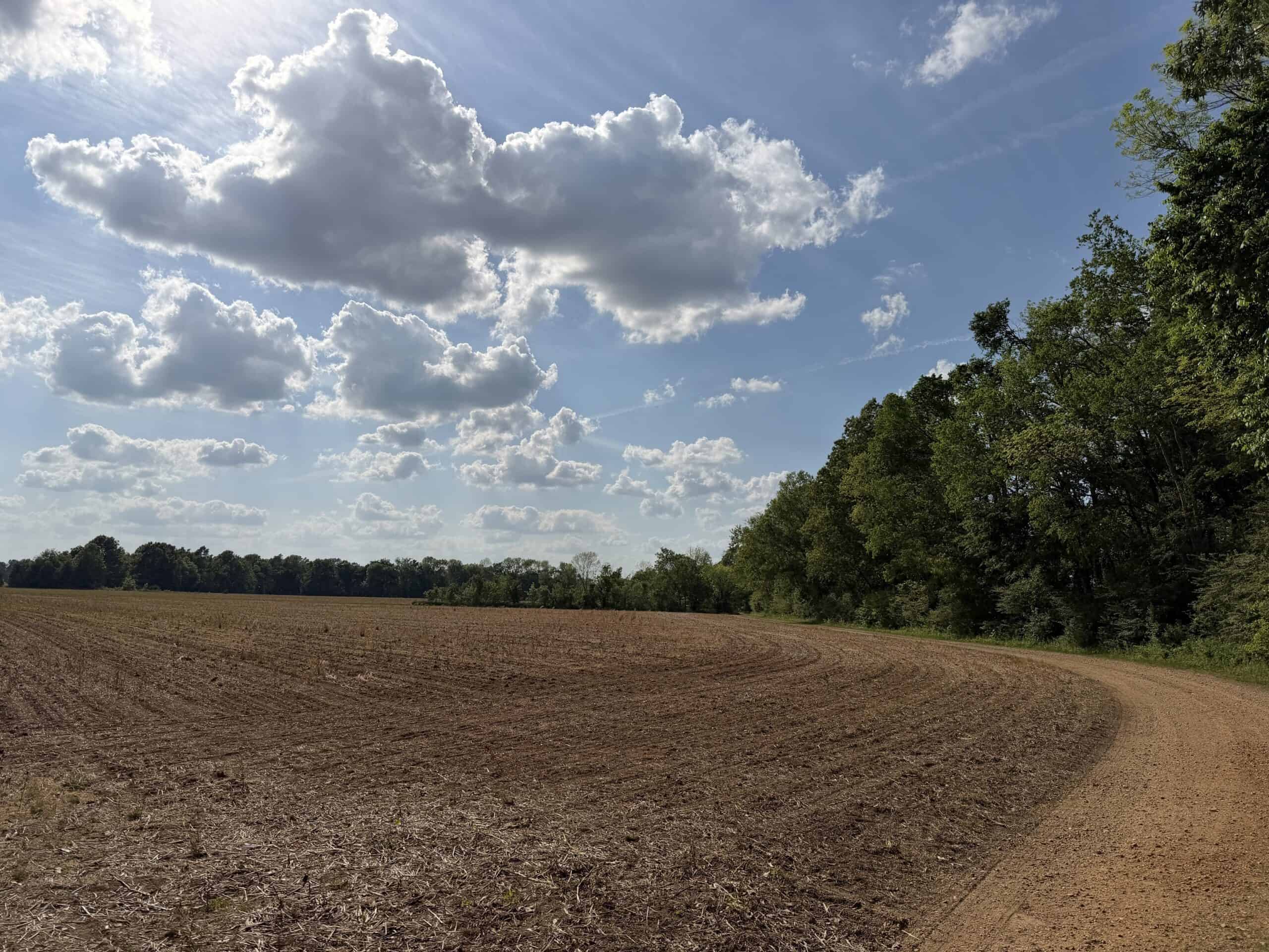 RIVERFRONT LEGACY FARM | 700 ACRES ± | LAND FOR SALE IN TN