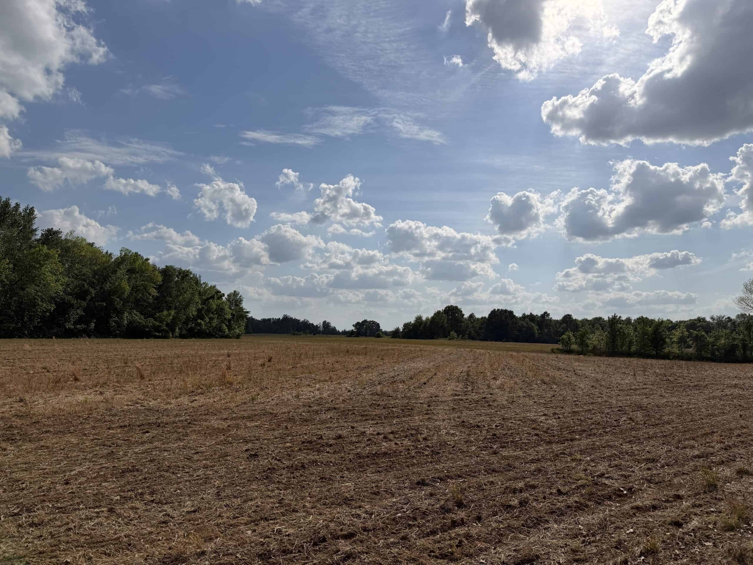 RIVERFRONT LEGACY FARM | 700 ACRES ± | LAND FOR SALE IN TN