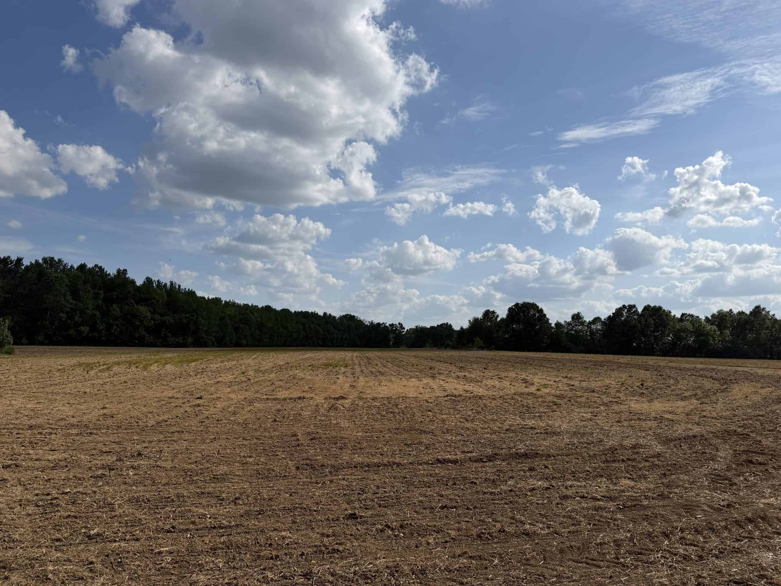RIVERFRONT LEGACY FARM | 700 ACRES ± | LAND FOR SALE IN TN