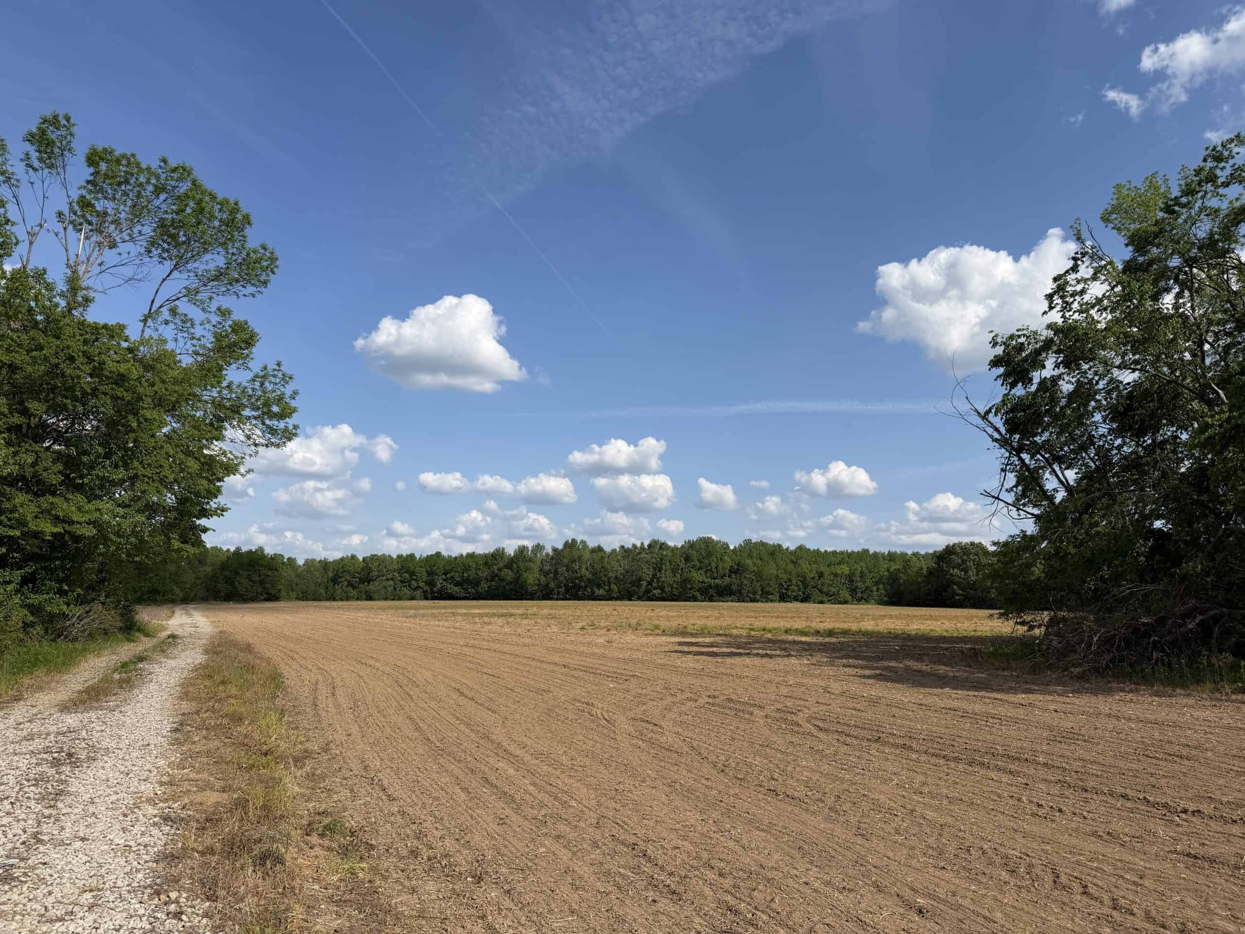 RIVERFRONT LEGACY FARM | 700 ACRES ± | LAND FOR SALE IN TN