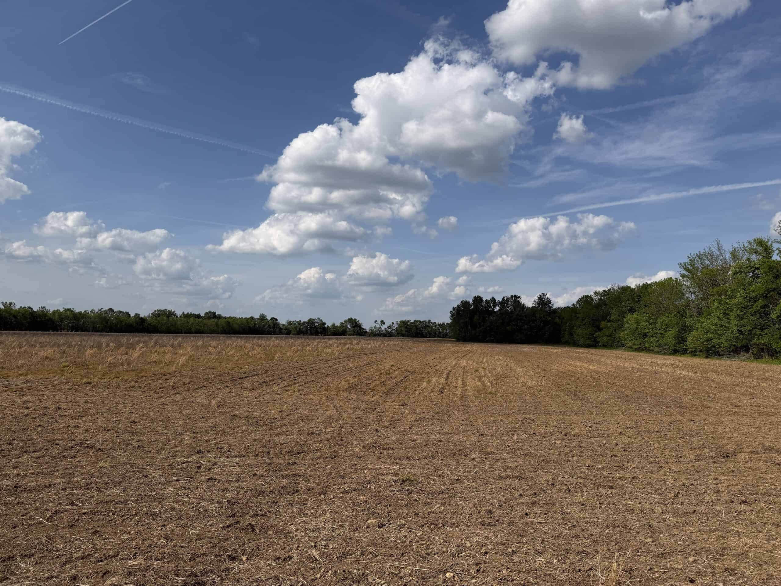 RIVERFRONT LEGACY FARM | 700 ACRES ± | LAND FOR SALE IN TN