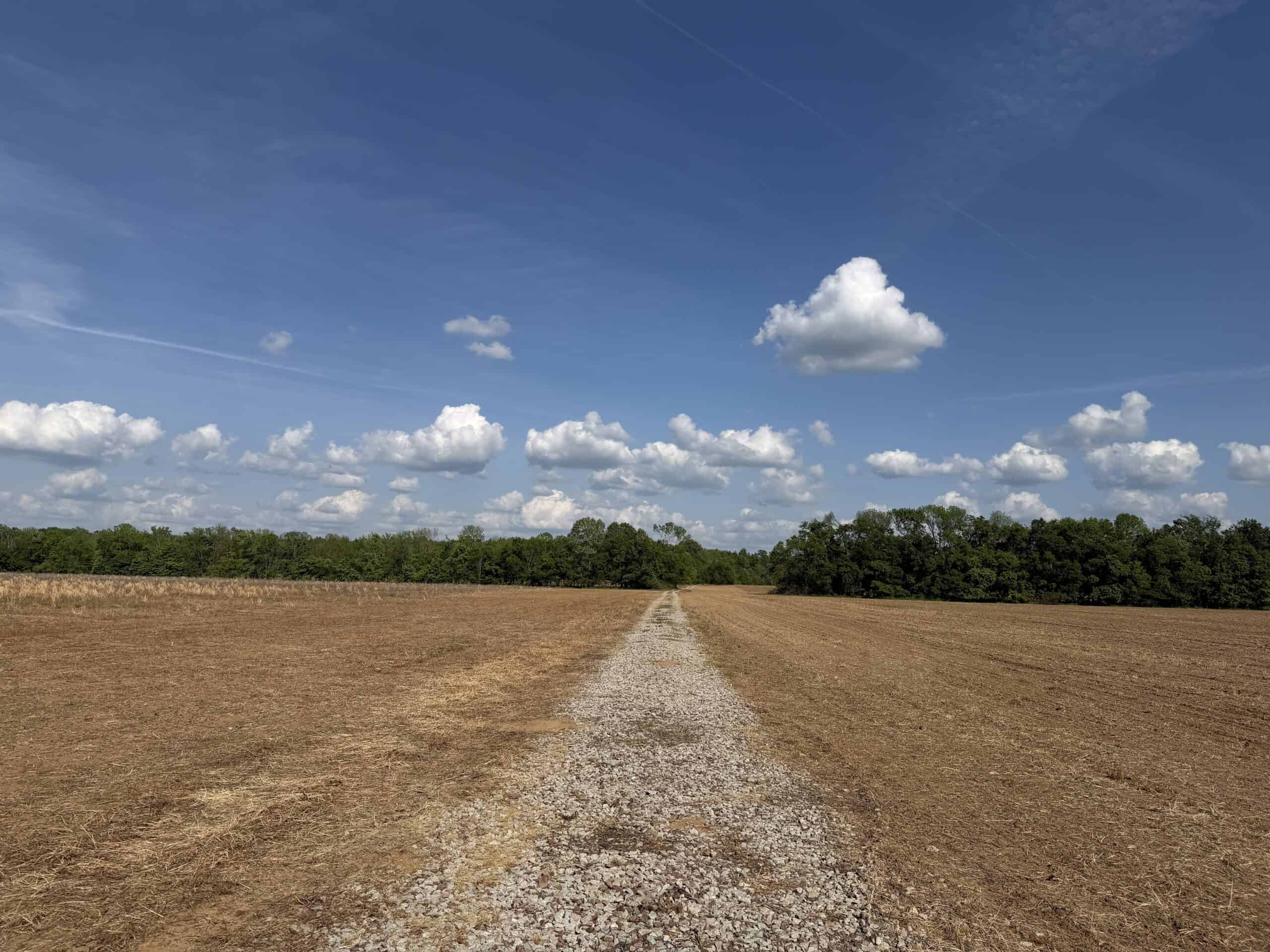 RIVERFRONT LEGACY FARM | 700 ACRES ± | LAND FOR SALE IN TN
