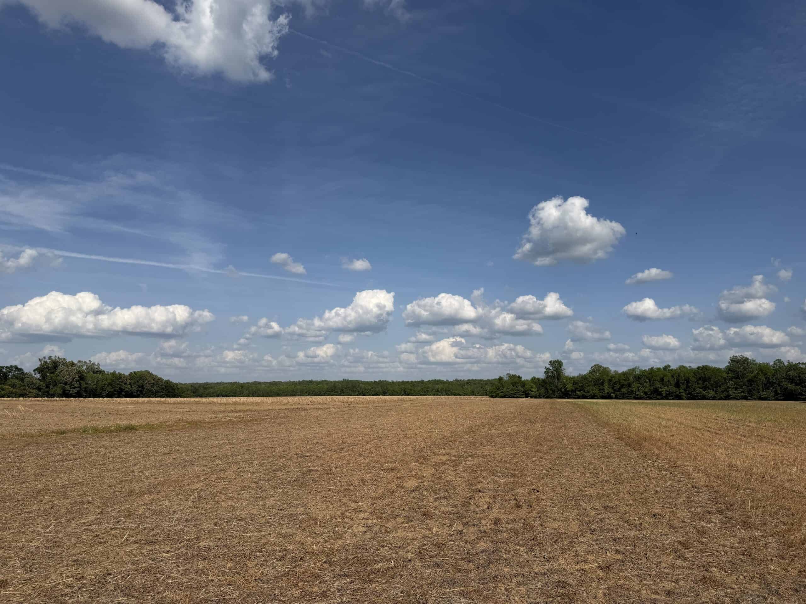 RIVERFRONT LEGACY FARM | 700 ACRES ± | LAND FOR SALE IN TN