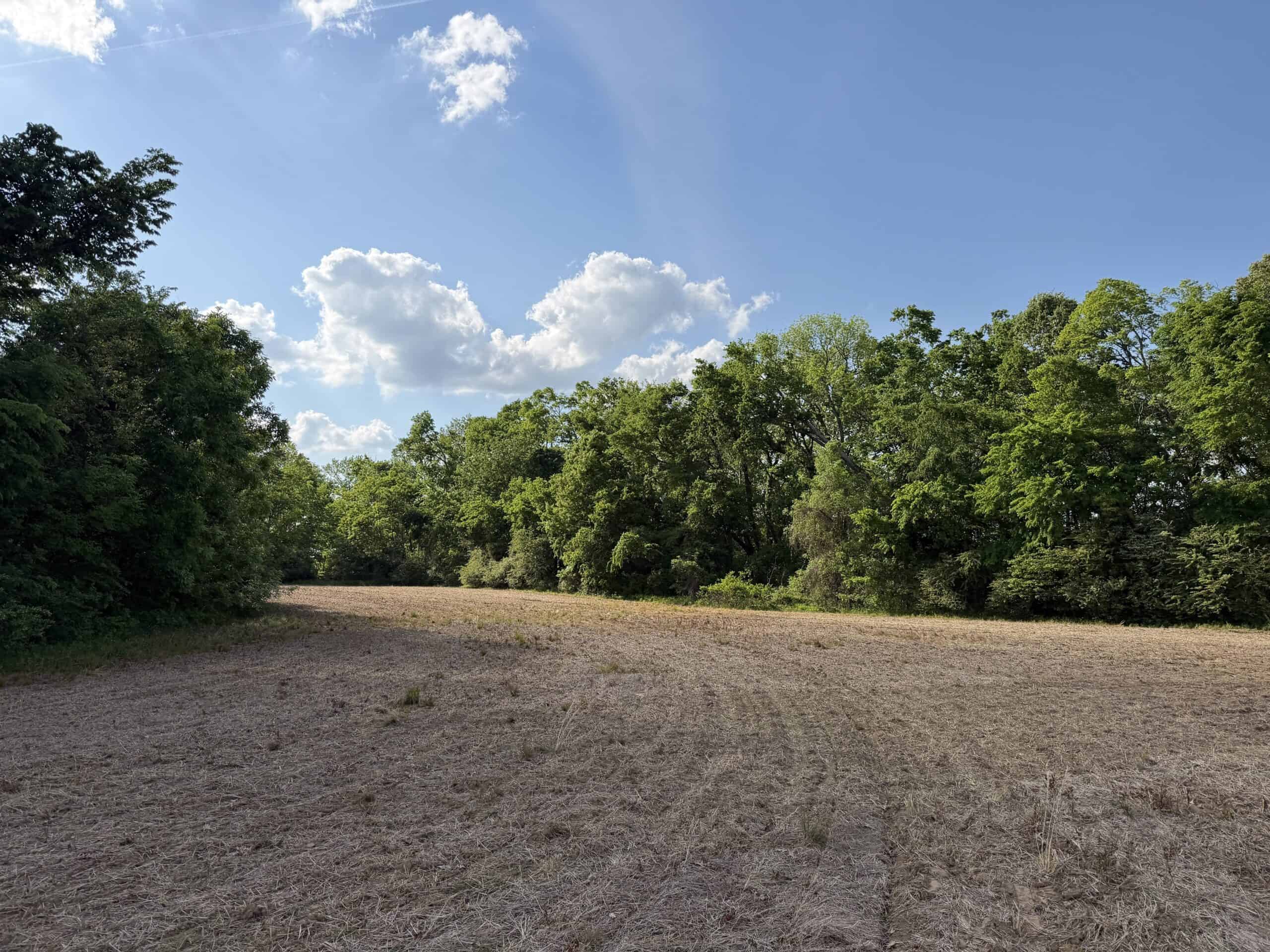 RIVERFRONT LEGACY FARM | 700 ACRES ± | LAND FOR SALE IN TN