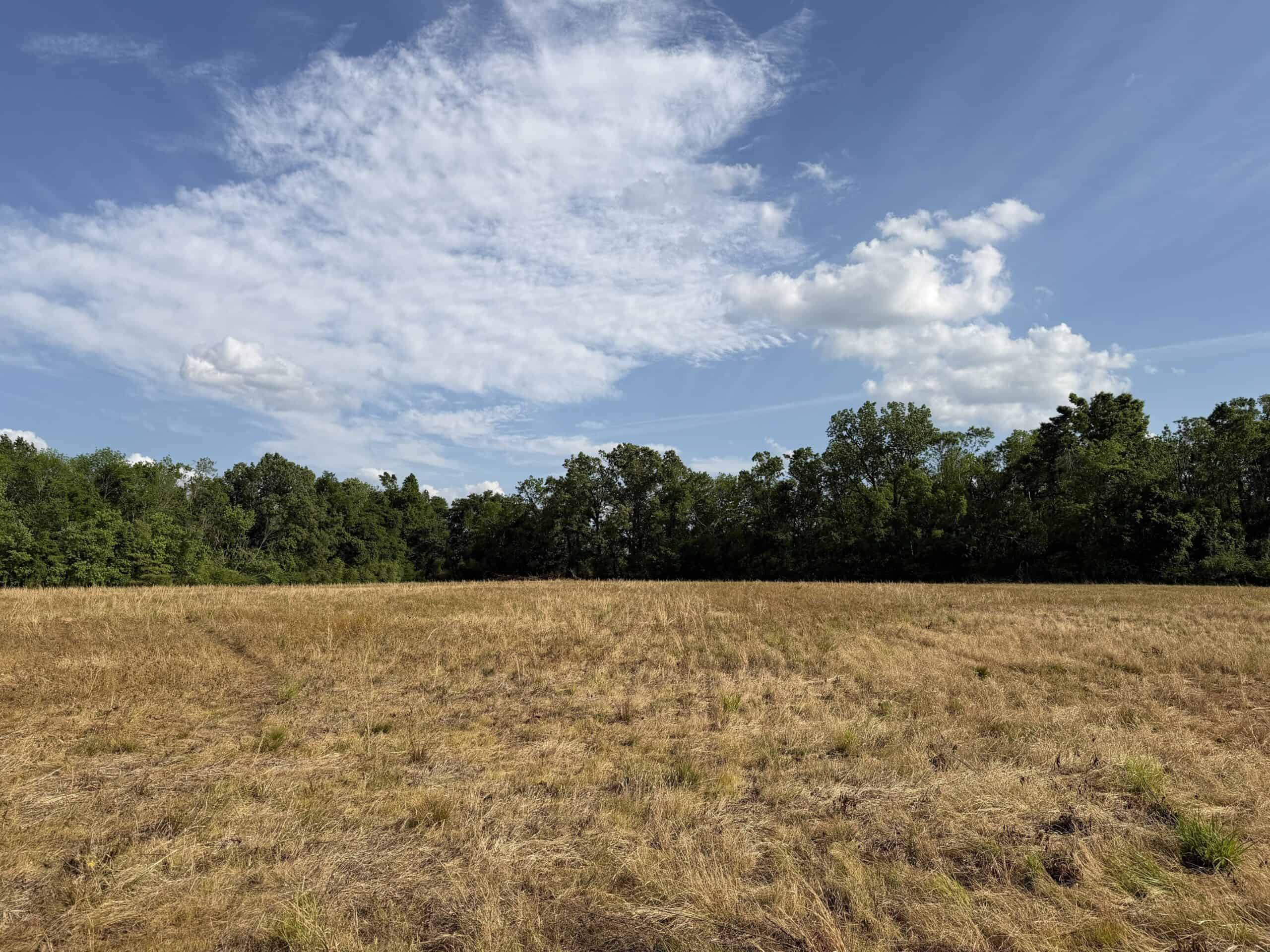 RIVERFRONT LEGACY FARM | 700 ACRES ± | LAND FOR SALE IN TN