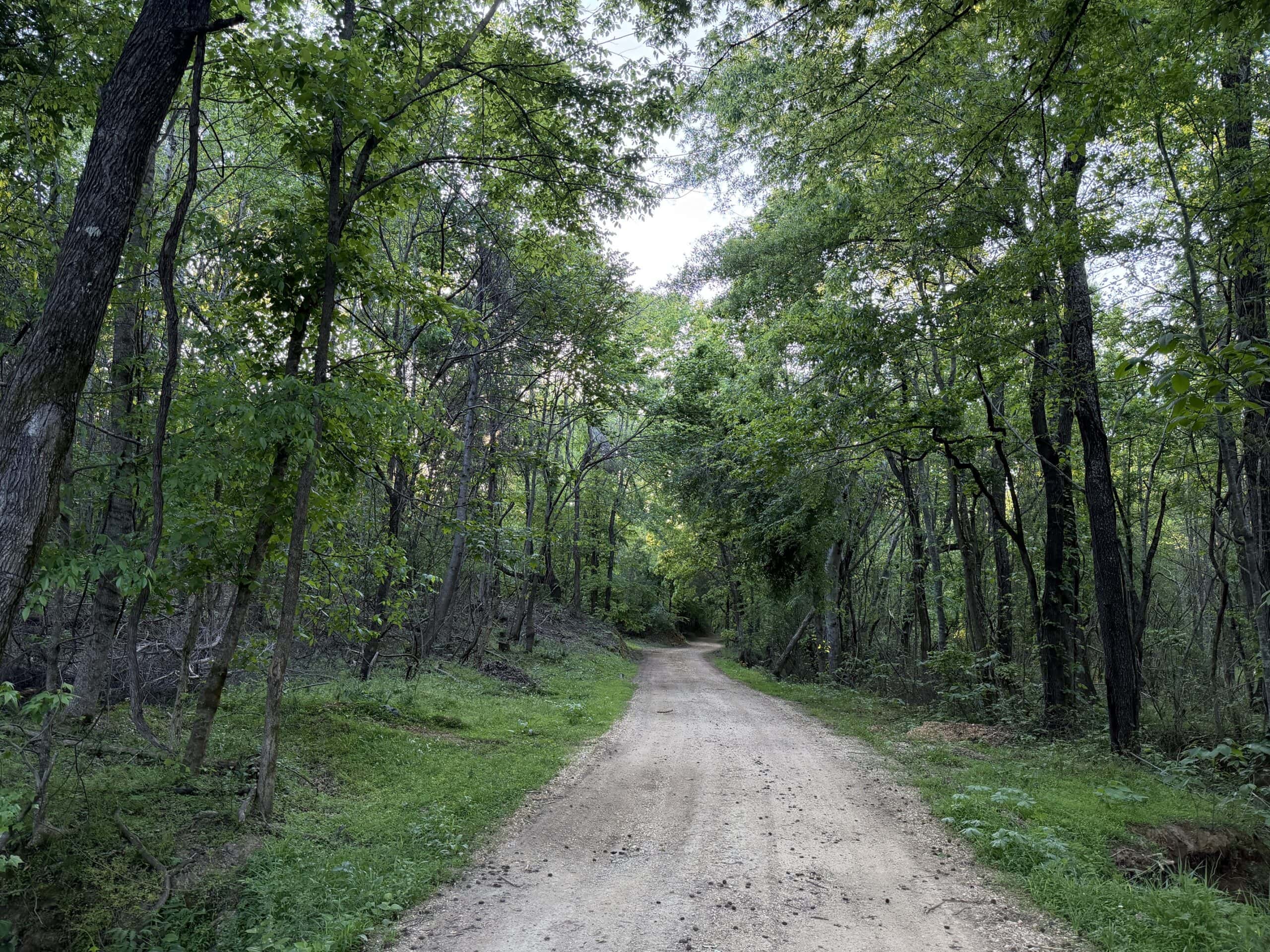 RIVERFRONT LEGACY FARM | 700 ACRES ± | LAND FOR SALE IN TN