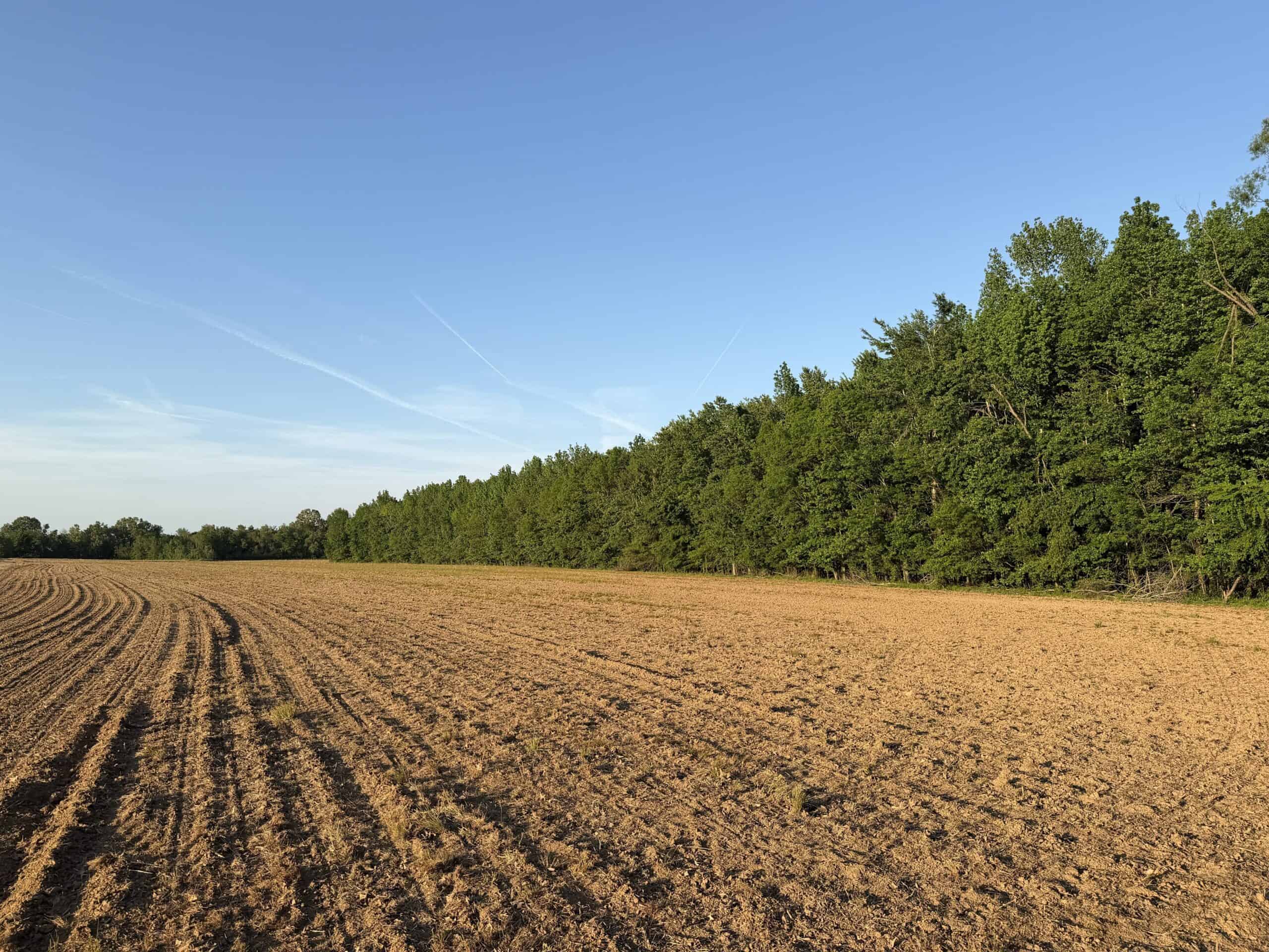 RIVERFRONT LEGACY FARM | 700 ACRES ± | LAND FOR SALE IN TN