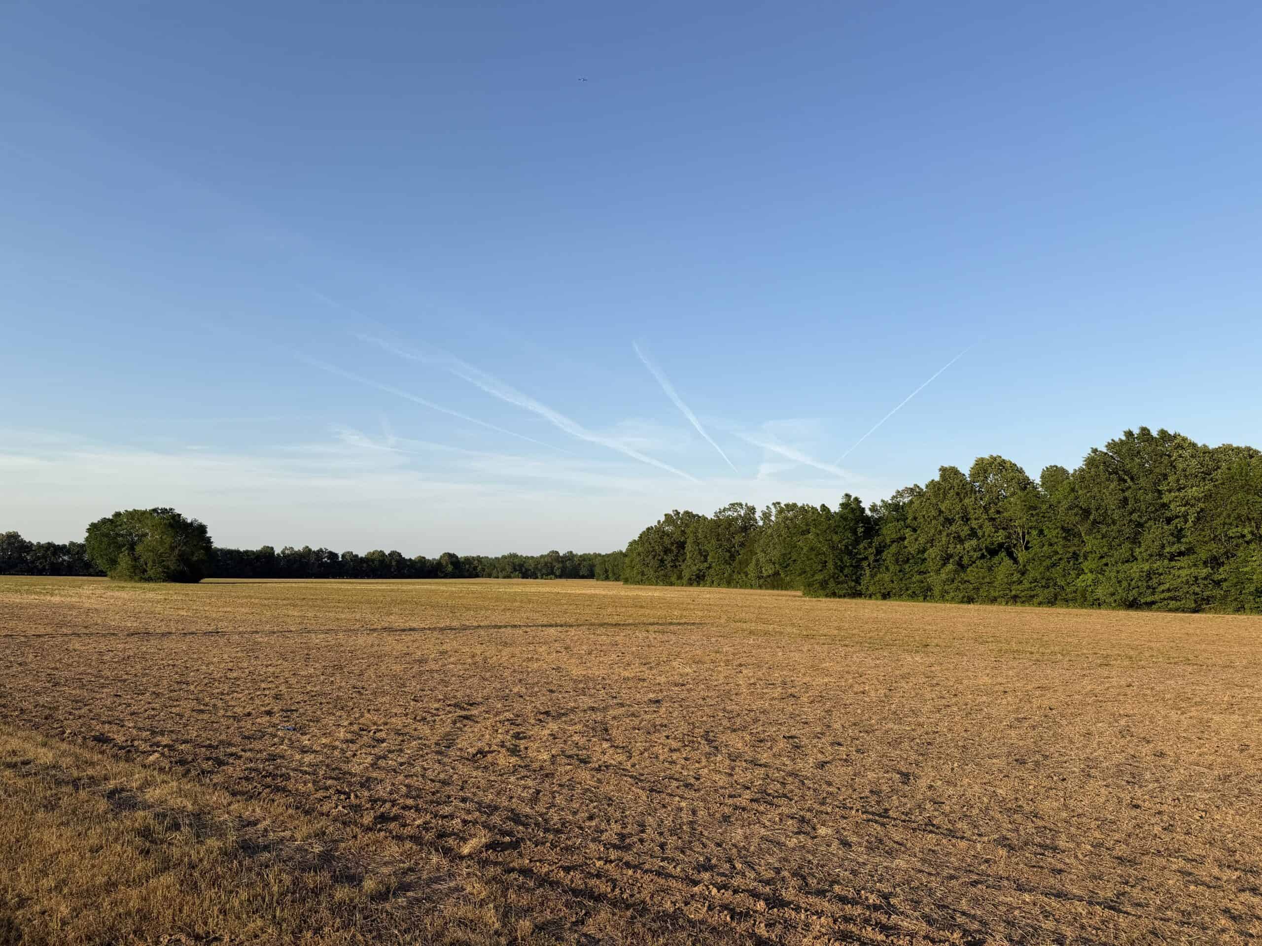 RIVERFRONT LEGACY FARM | 700 ACRES ± | LAND FOR SALE IN TN