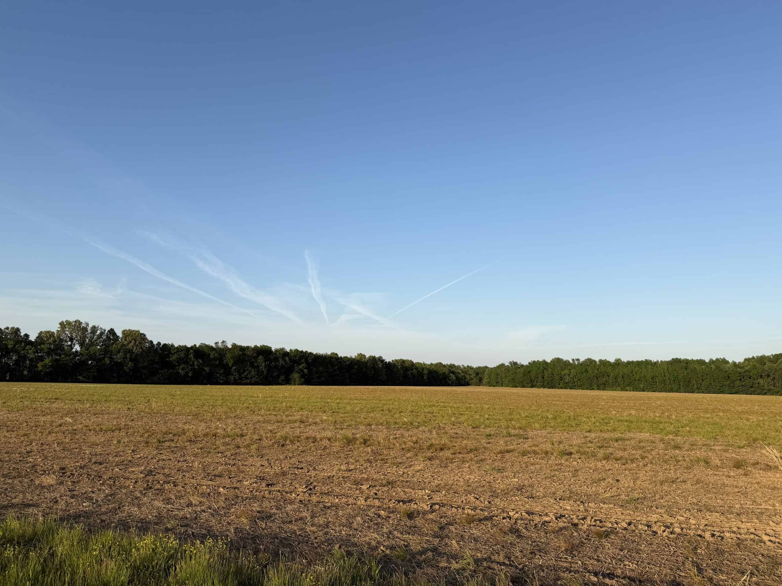 RIVERFRONT LEGACY FARM | 700 ACRES ± | LAND FOR SALE IN TN