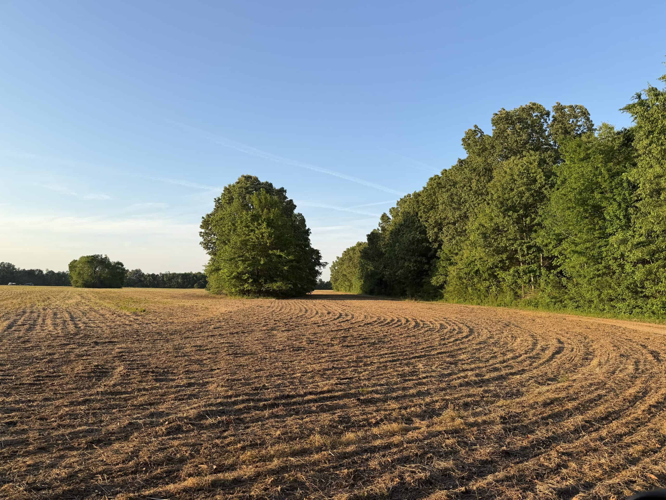 RIVERFRONT LEGACY FARM | 700 ACRES ± | LAND FOR SALE IN TN