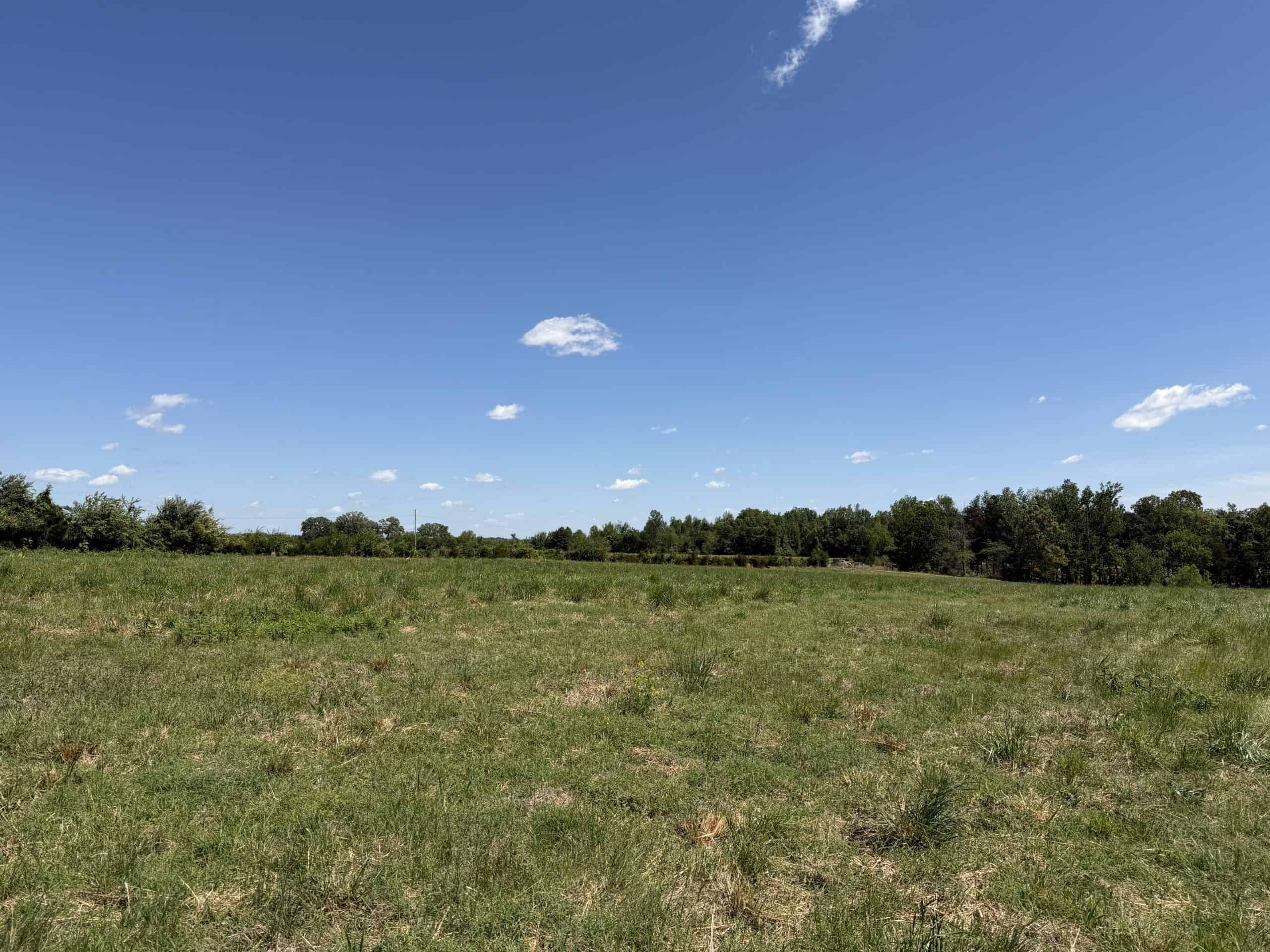 HOBBY FARM FOR SALE IN TN. AMAZING BUILDING SITES WITH VIEWS AND DEER HUNTING LAND FOR SALE IN TENNESSEE.